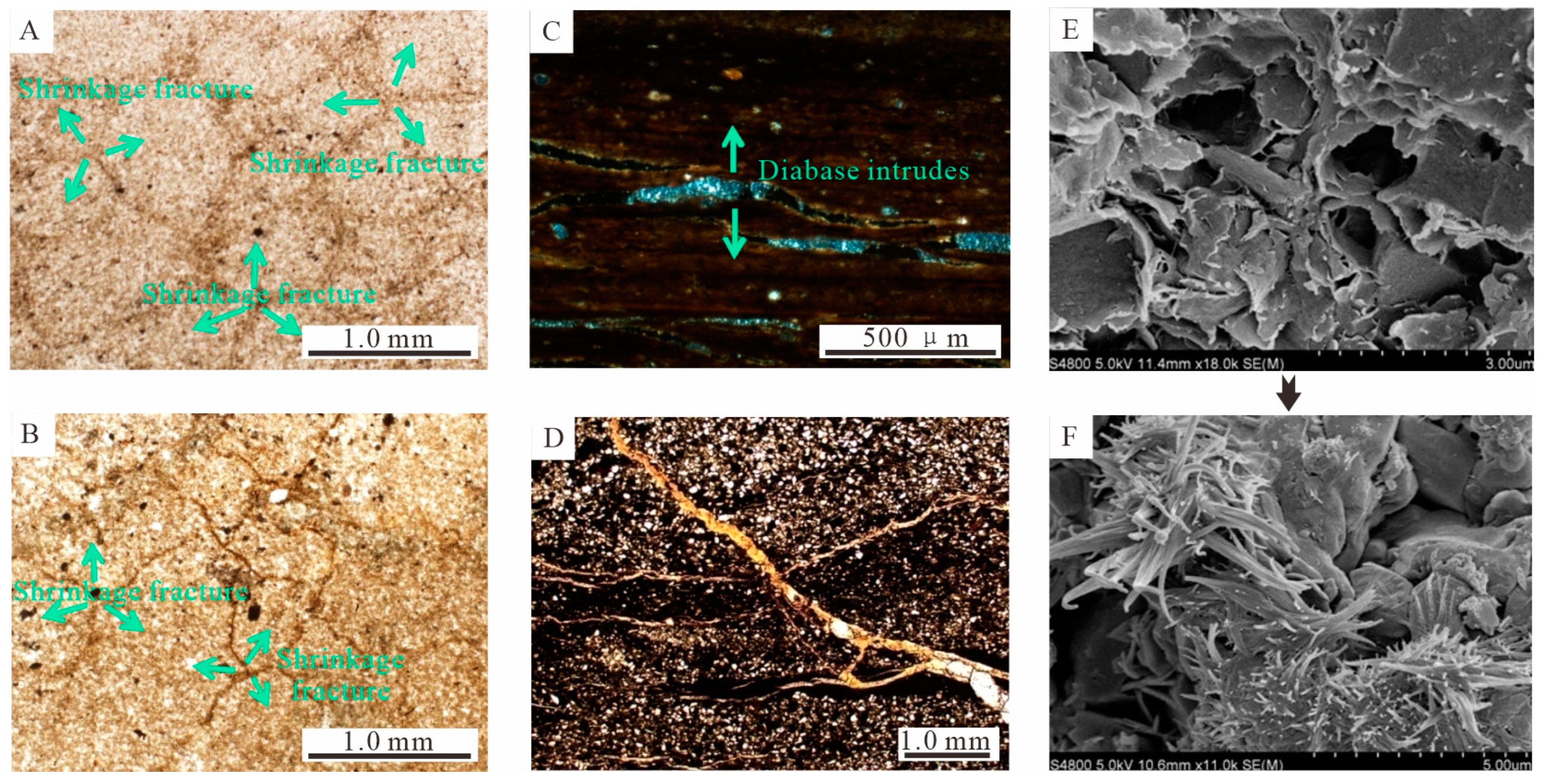 Processes 11 02009 g009 Processes 11 02009 g009