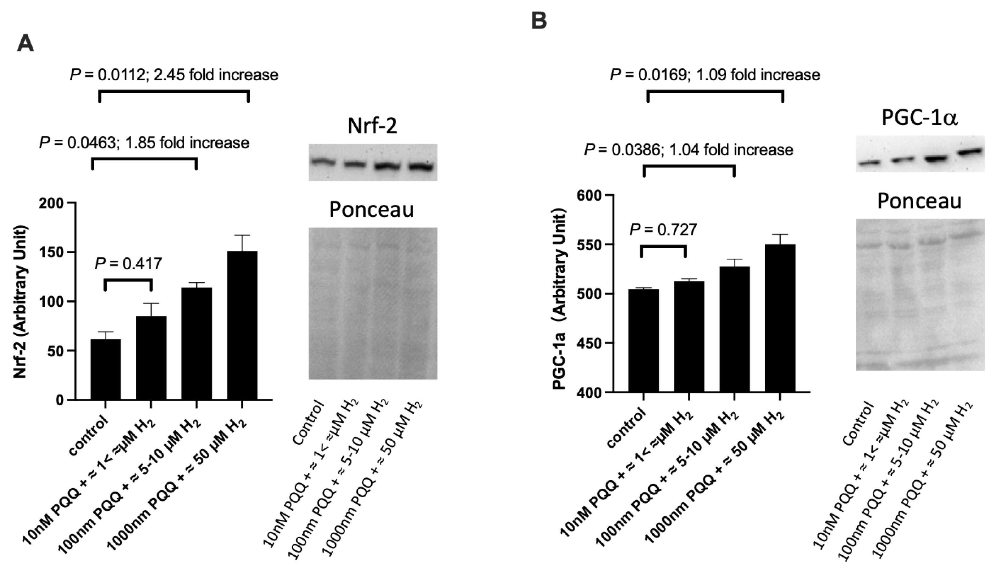 Processes 11 02011 g001
