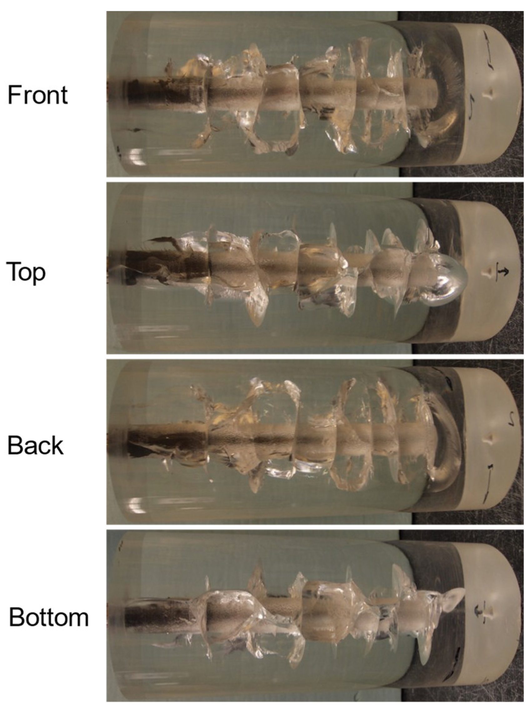Processes 11 02028 g006 Processes 11 02028 g006