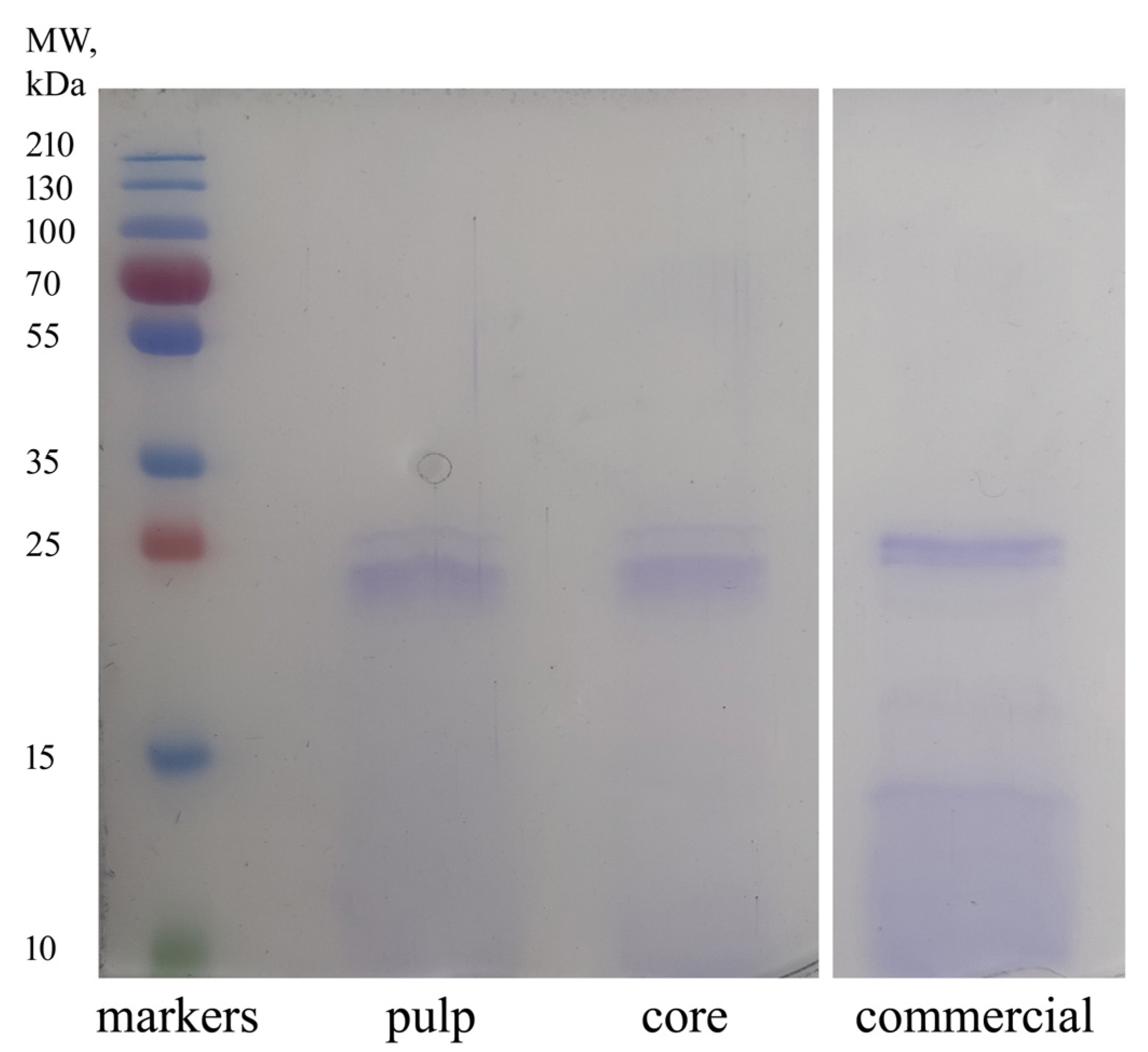 Processes 11 02064 g002 Processes 11 02064 g002