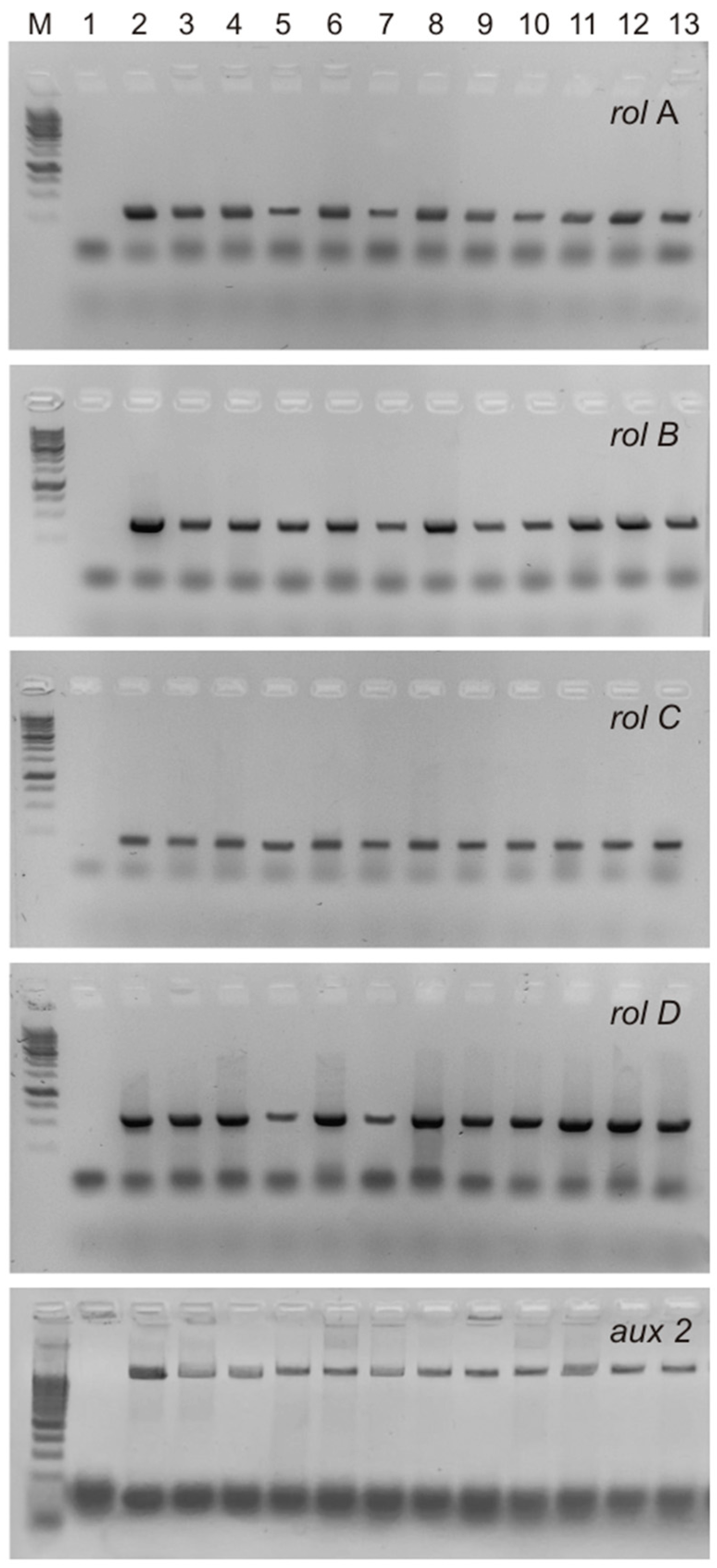 Processes 11 02102 g002