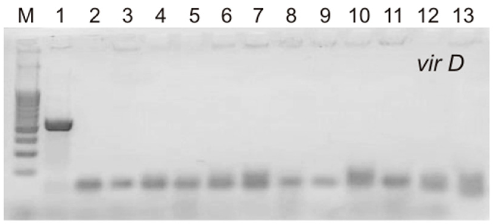 Processes 11 02102 g003