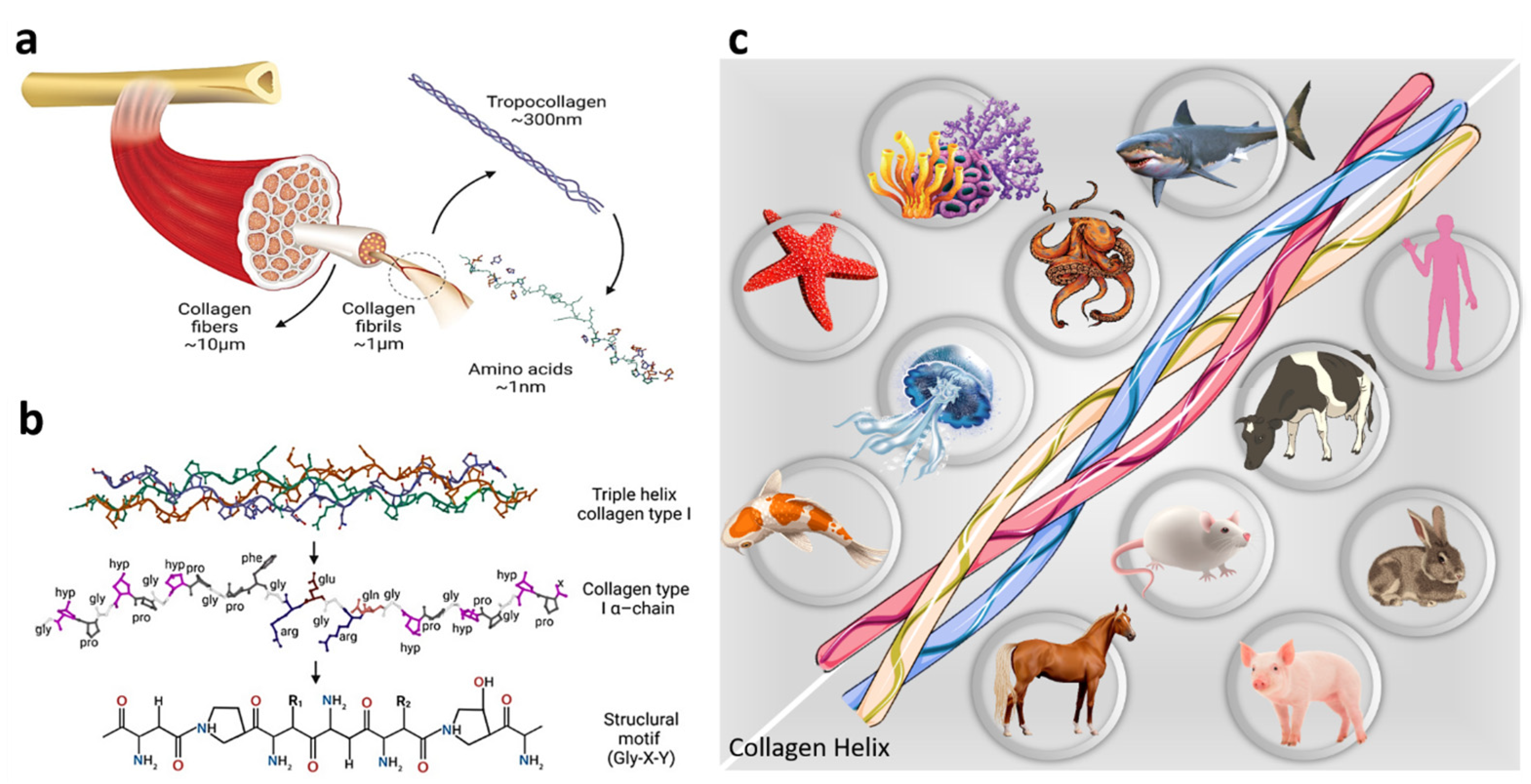 Processes 11 02105 g003 Processes 11 02105 g003