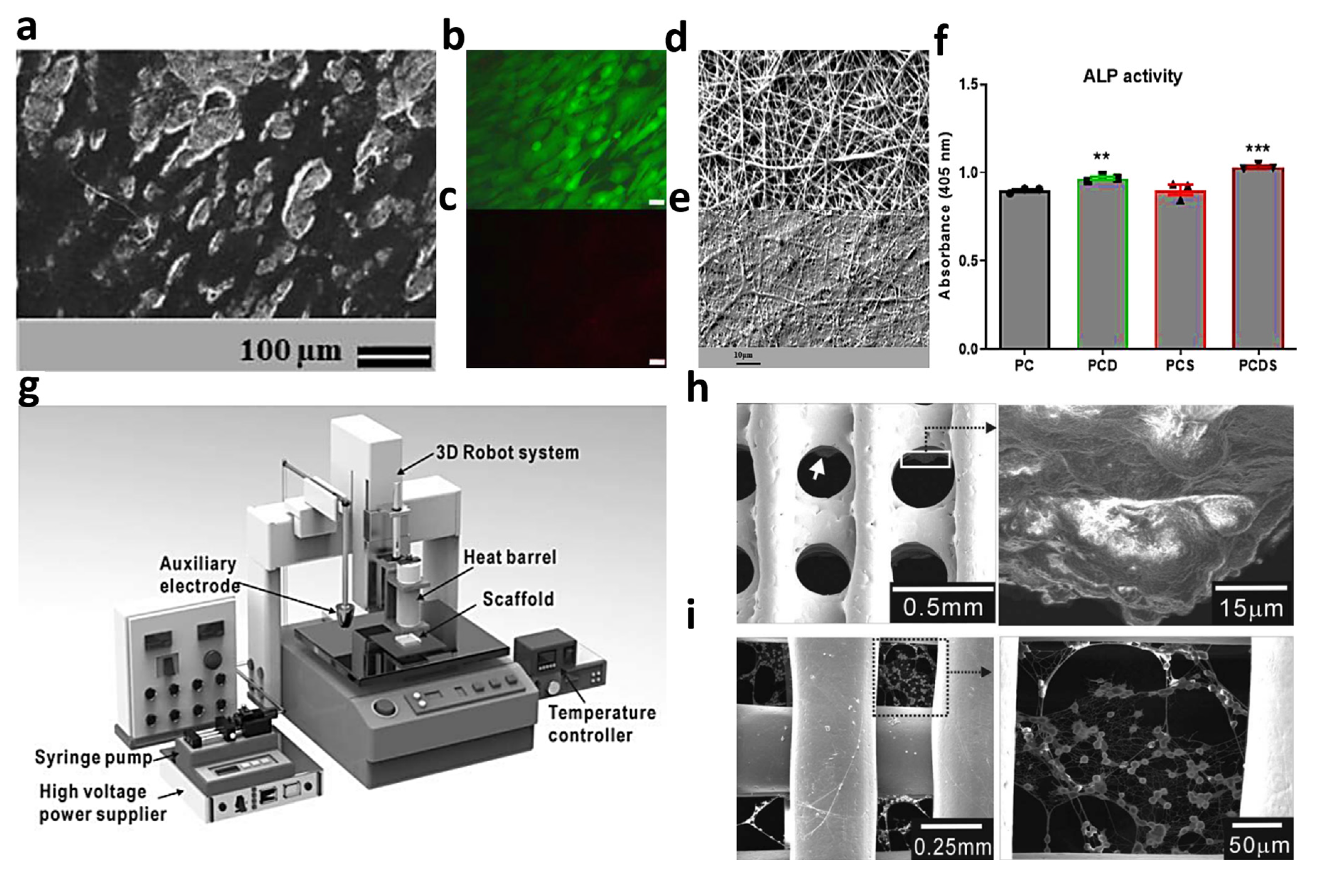 Processes 11 02105 g005 Processes 11 02105 g005