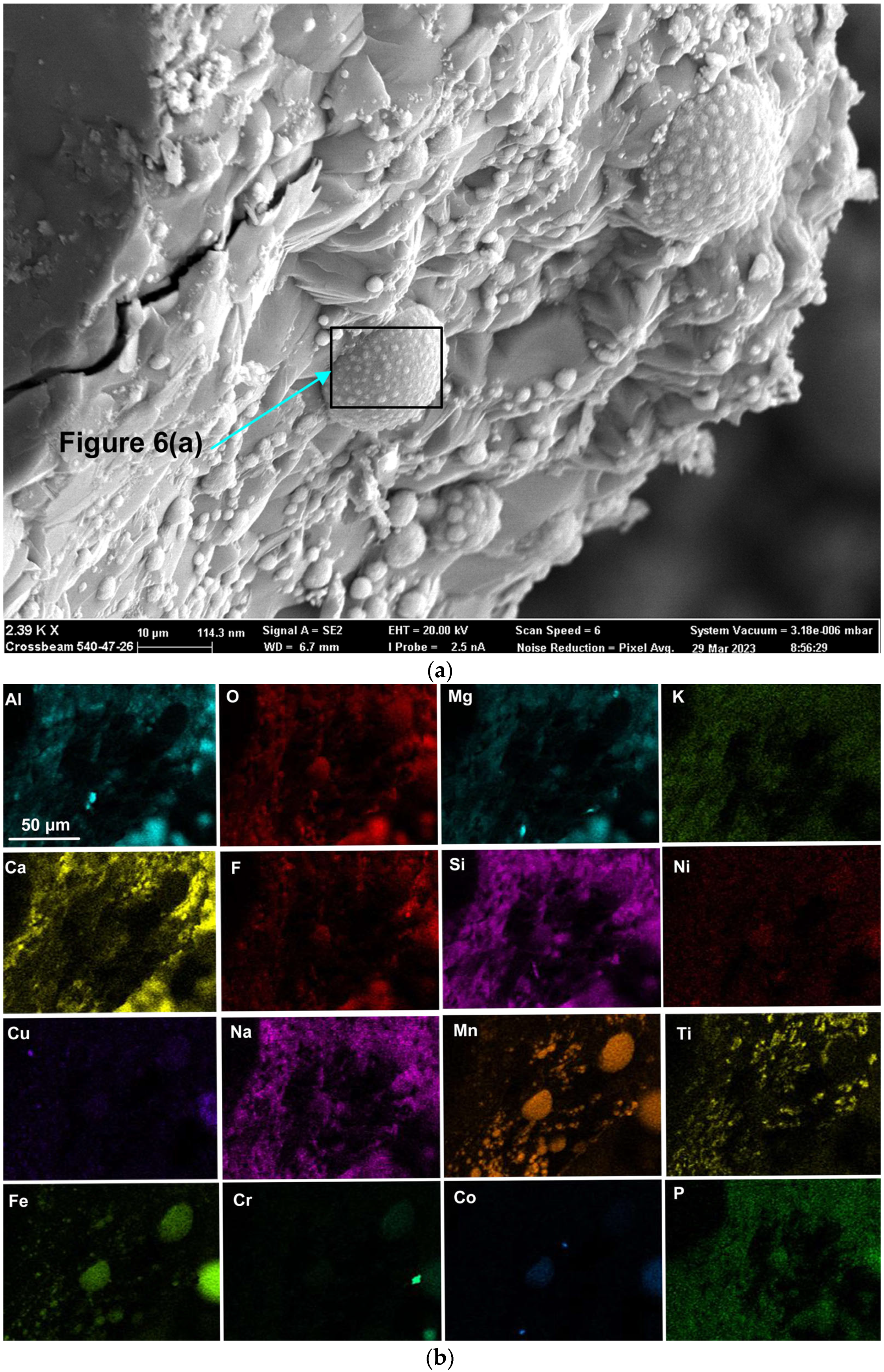 Processes 11 02110 g005
