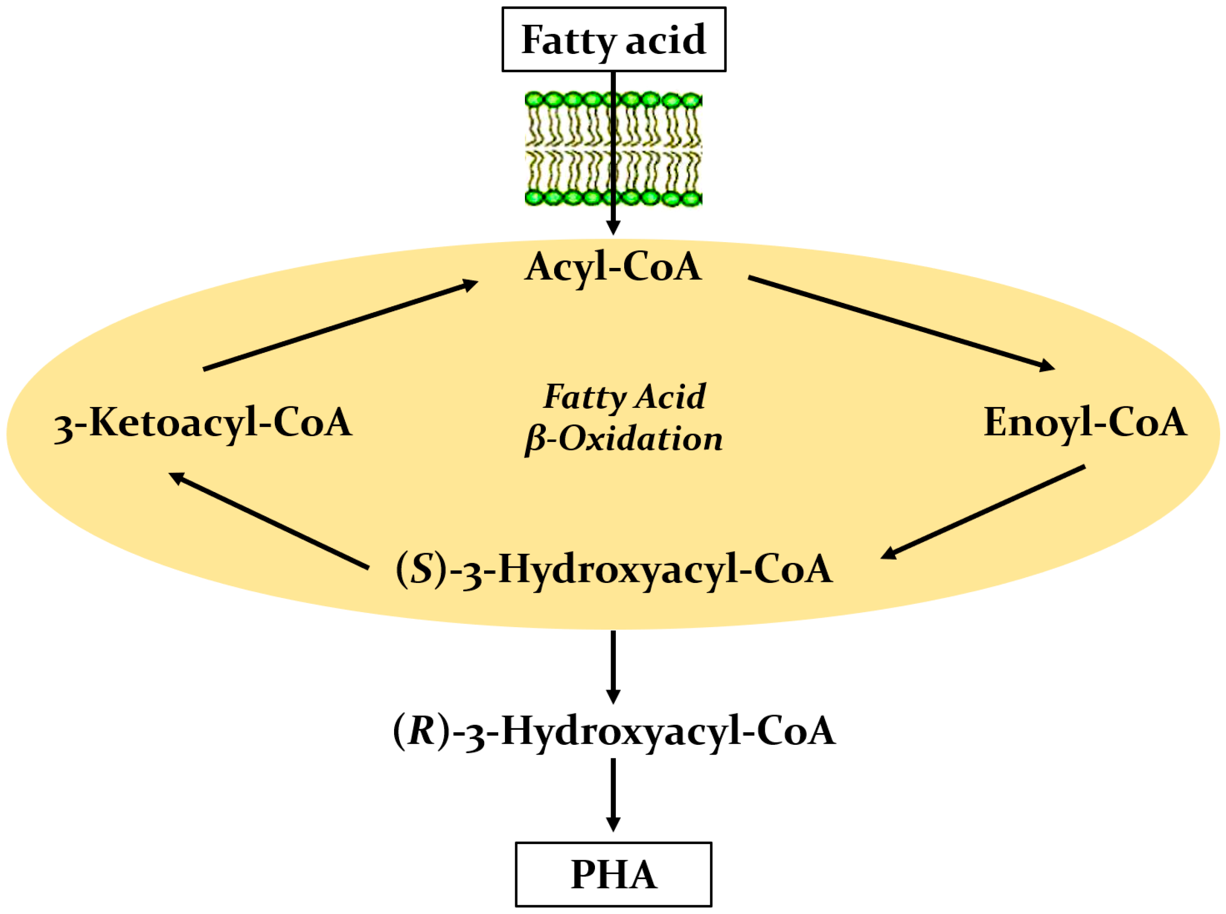 Processes 11 02113 g001 Processes 11 02113 g001