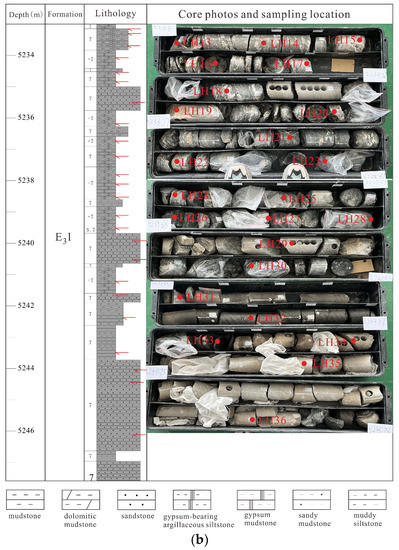 Frontiers | Sedimentological and diagenetic facies of tight
