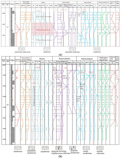 Sedimentary Environment and Organic Matter Enrichment Model