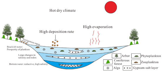 Sedimentary Environment and Organic Matter Enrichment Model