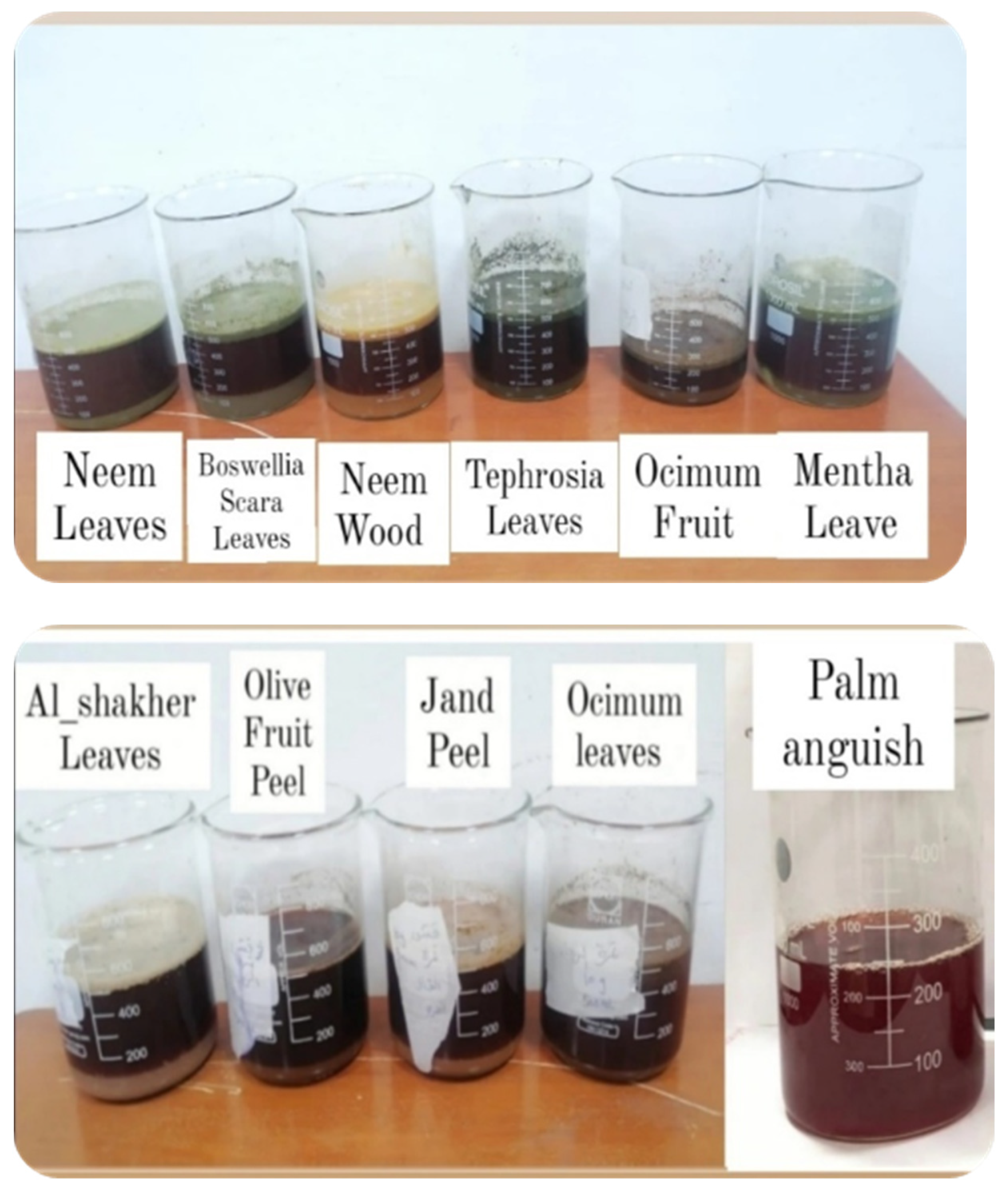 Processes 11 02124 g001