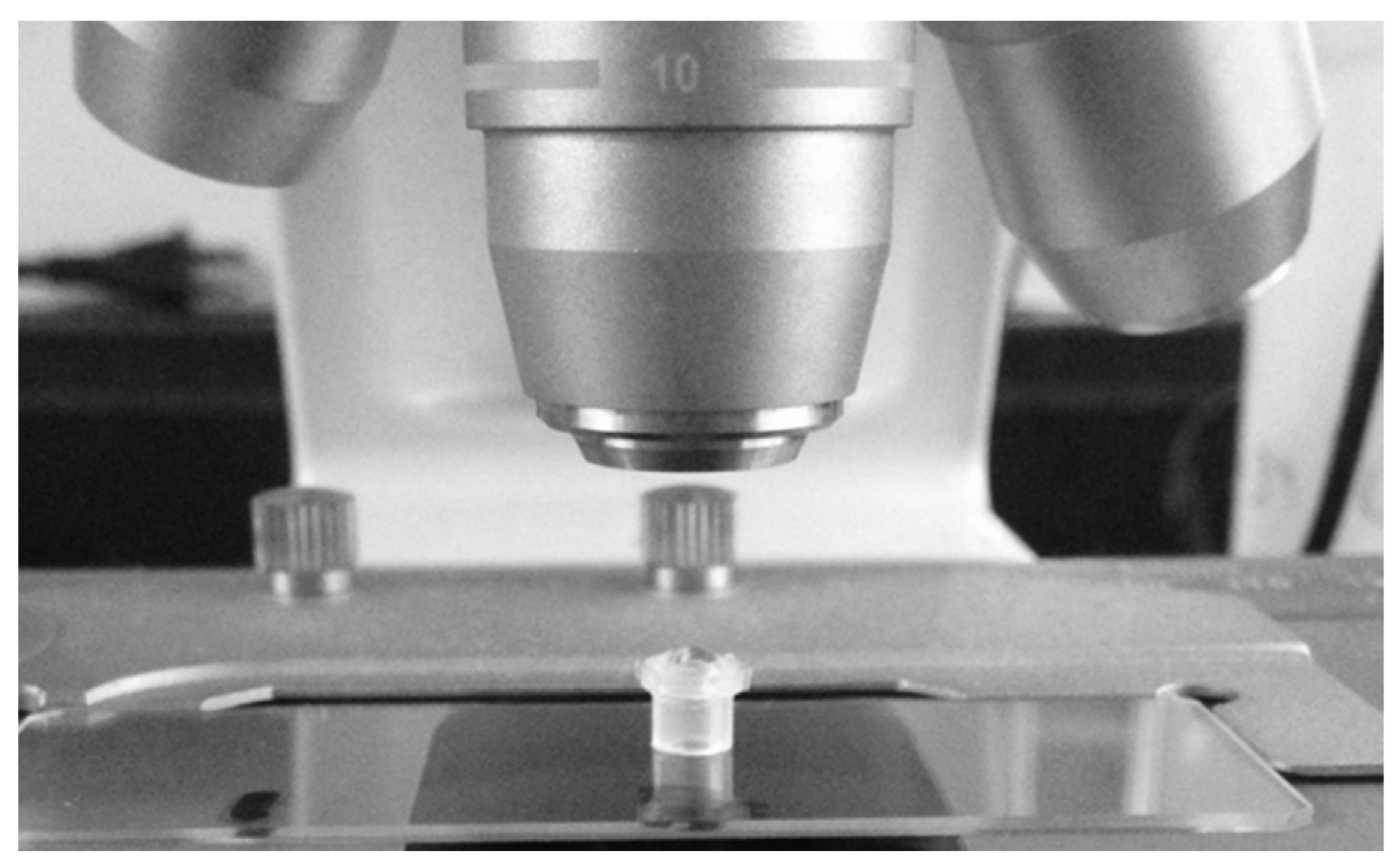 Processes 11 02148 g003 Processes 11 02148 g003