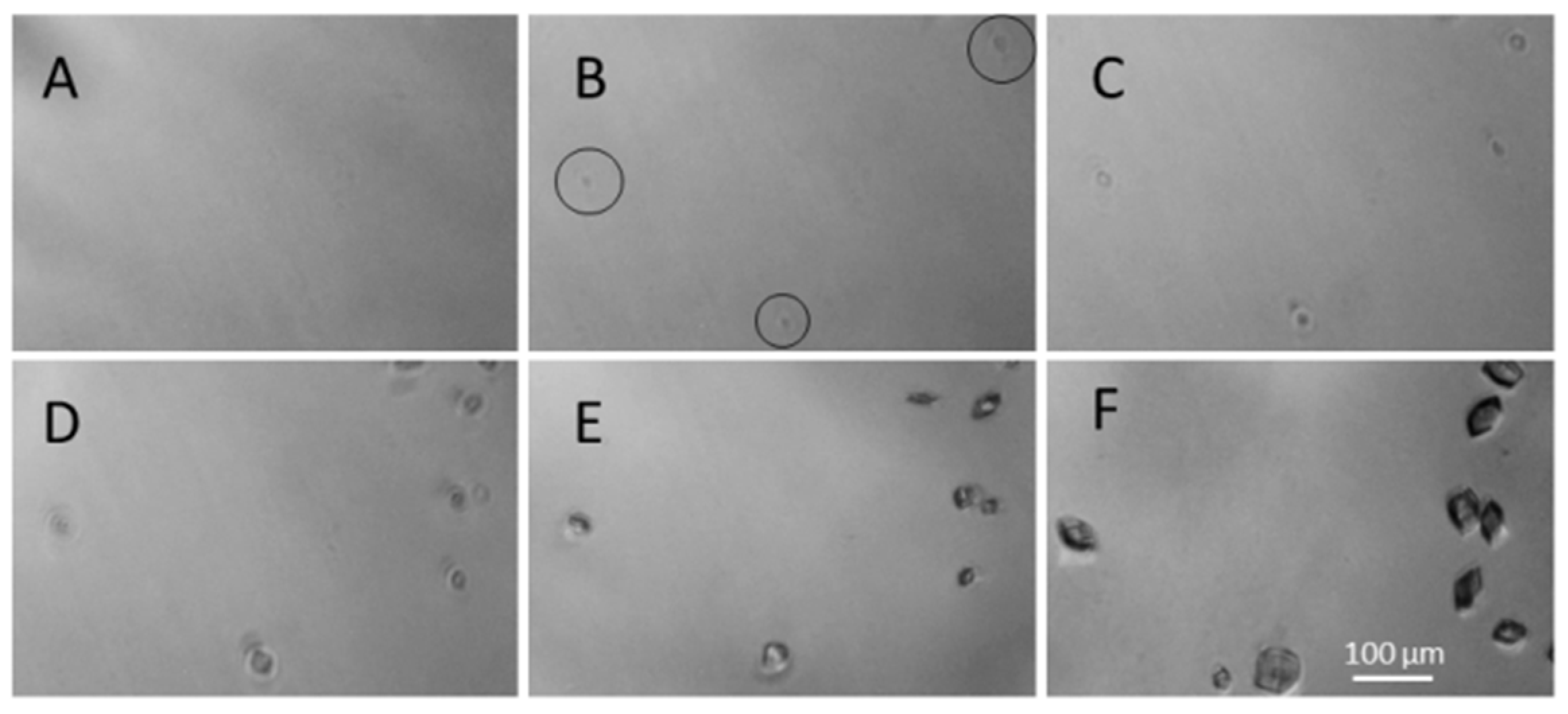Processes 11 02148 g007 Processes 11 02148 g007