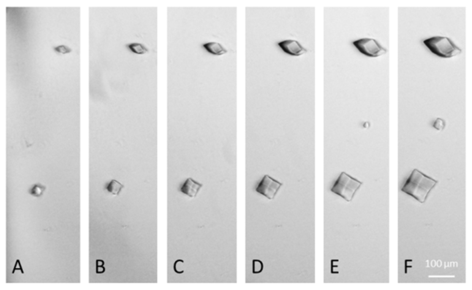 Processes 11 02148 g008 Processes 11 02148 g008