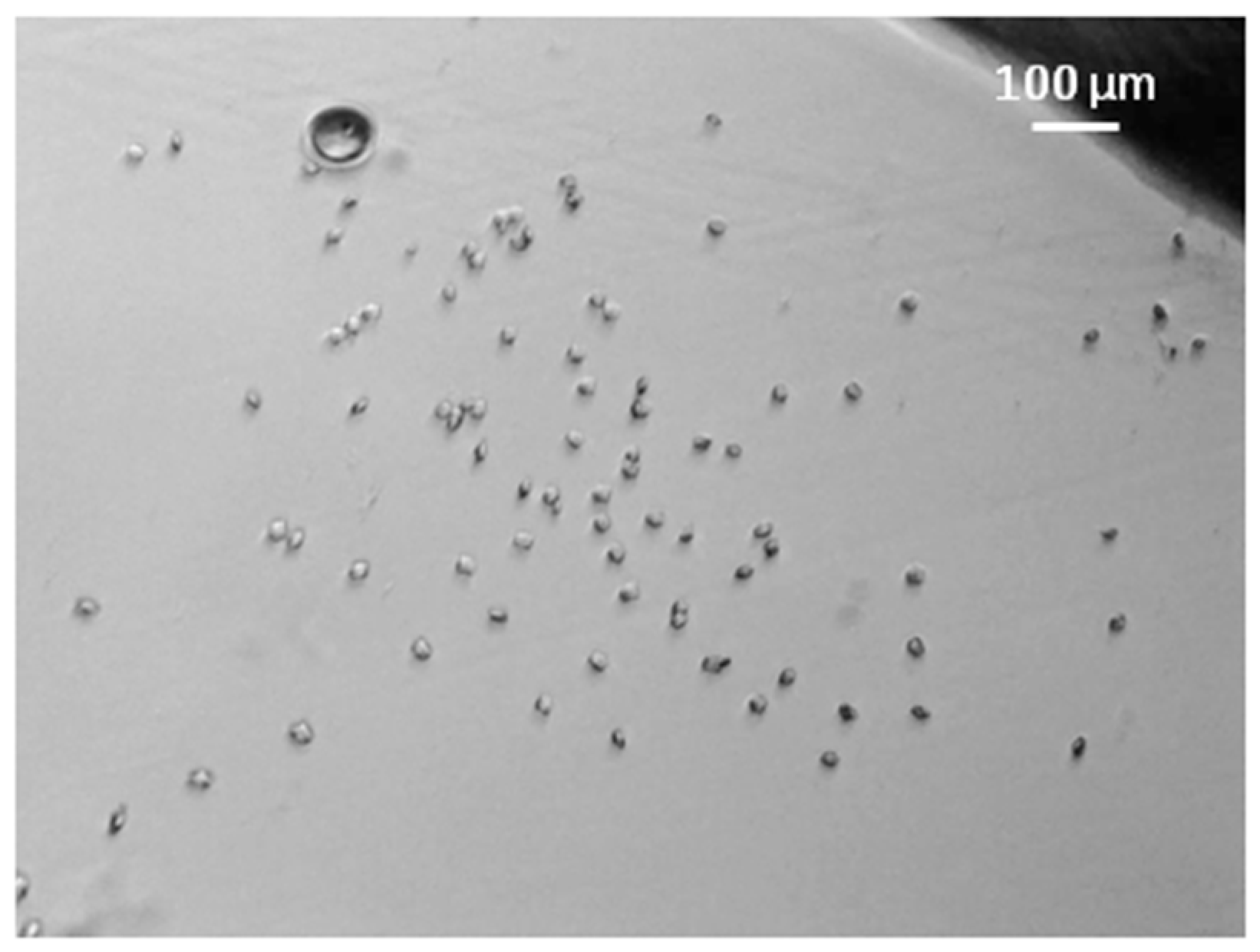 Processes 11 02148 g009 Processes 11 02148 g009