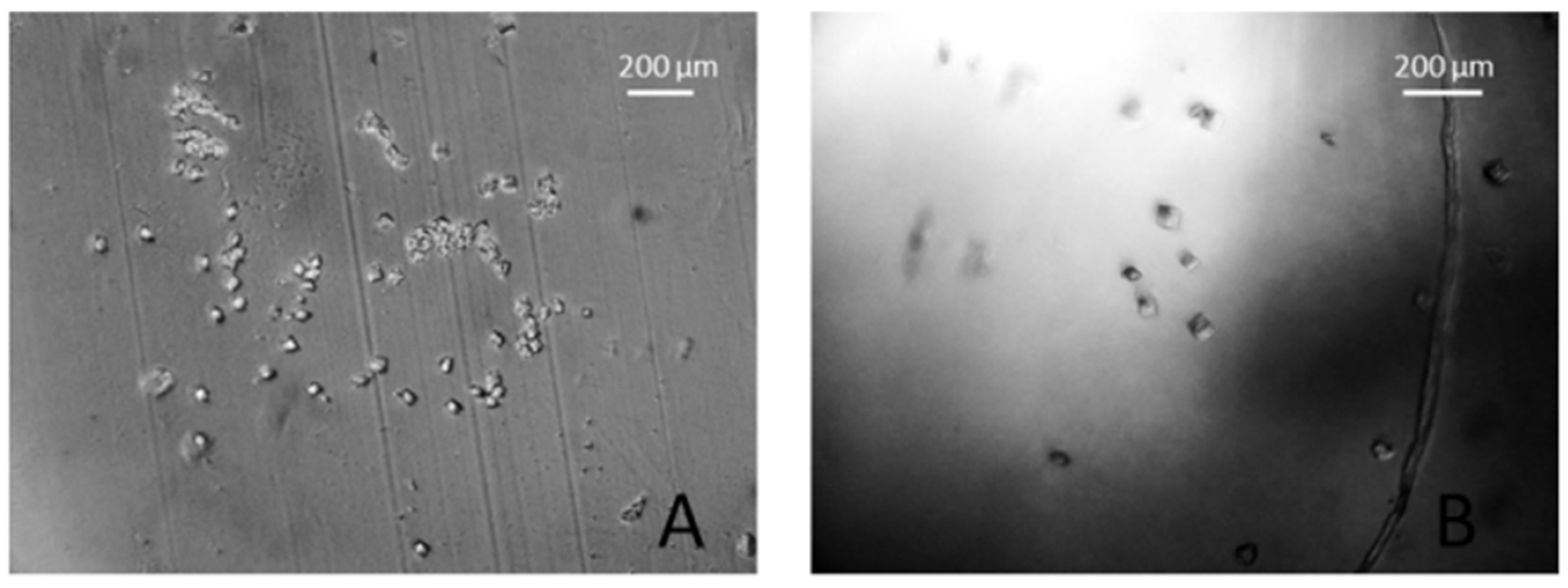 Processes 11 02148 g011 Processes 11 02148 g011