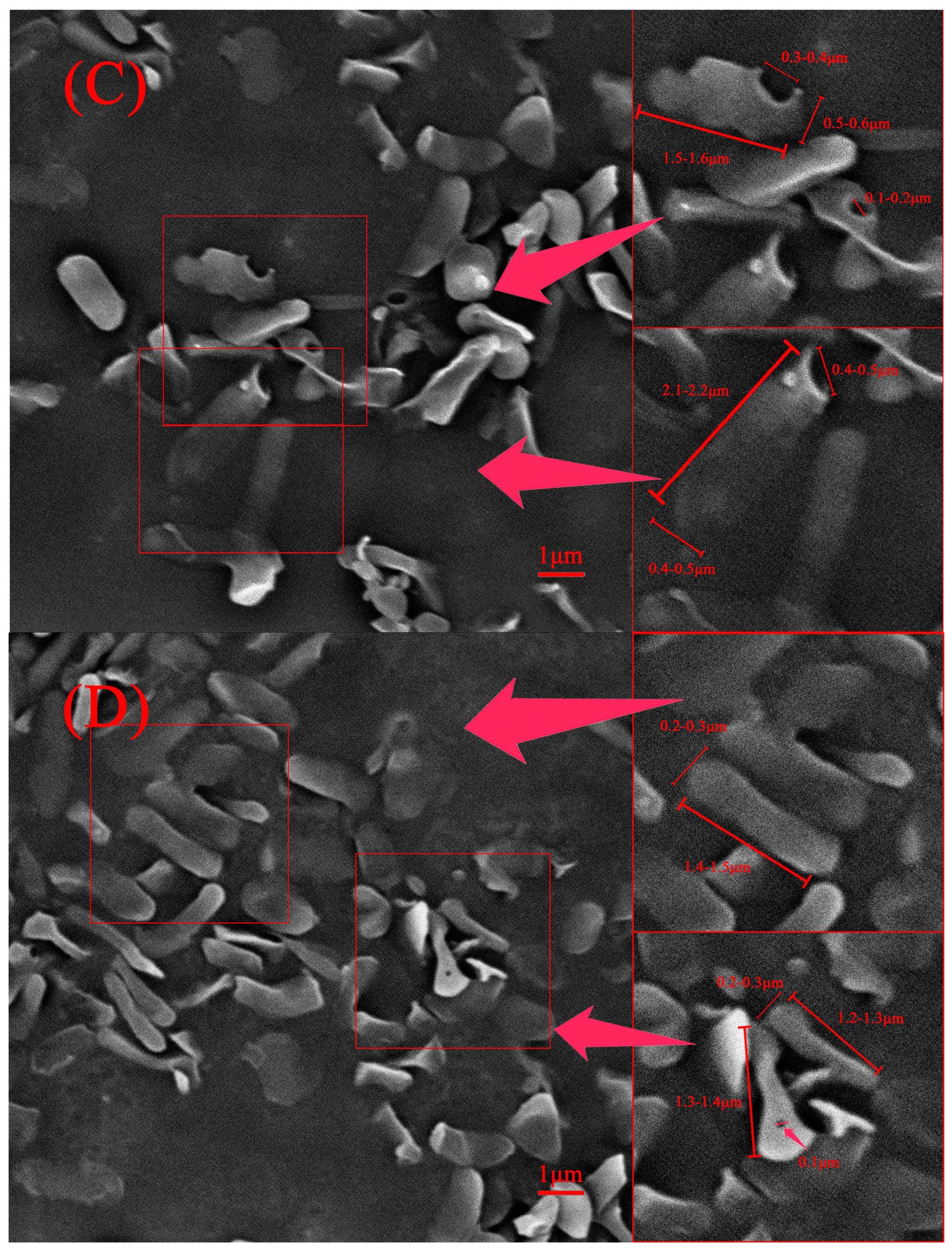 Processes 11 02163 g006b Processes 11 02163 g006b