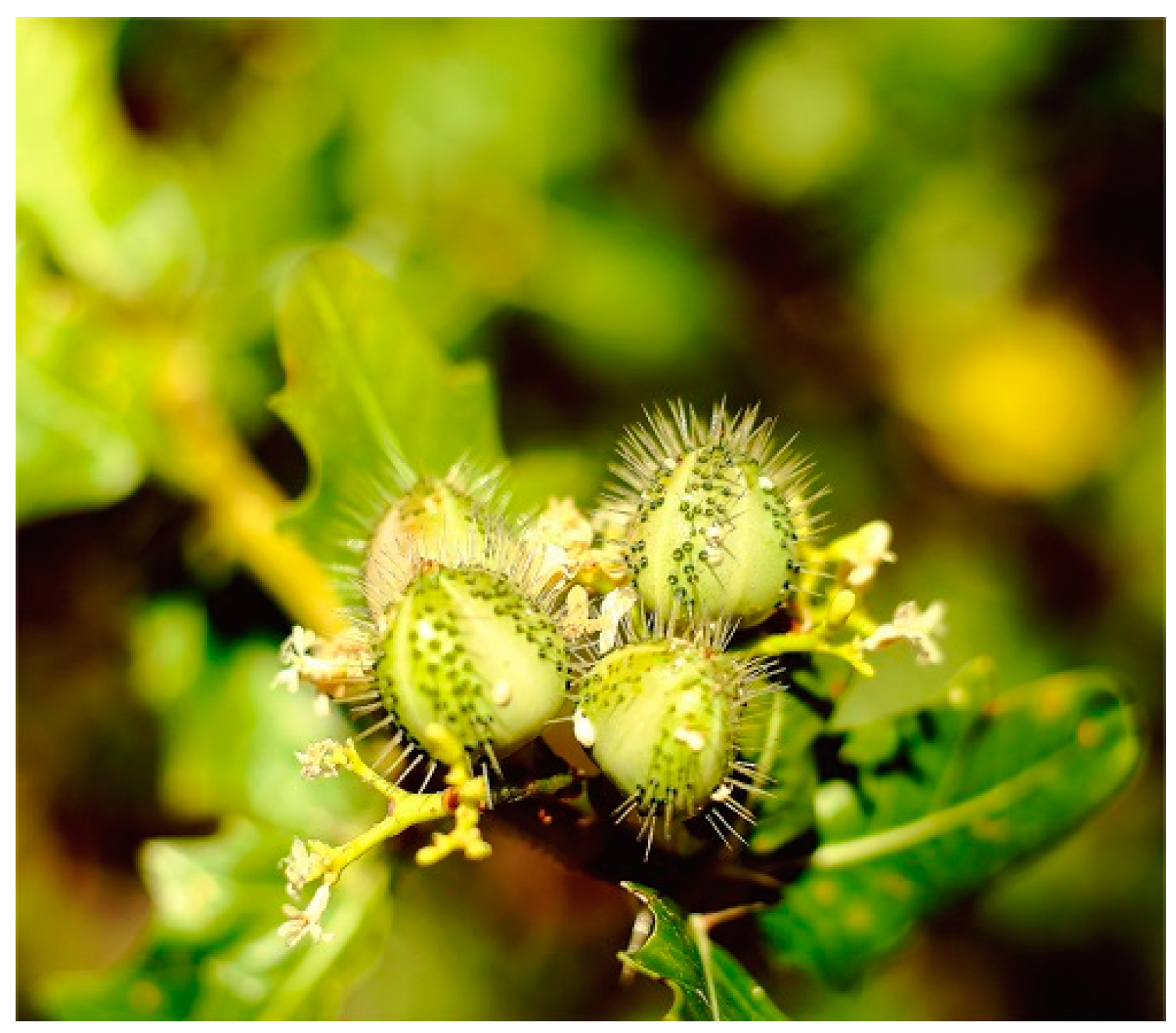 Processes 11 02203 g002 Processes 11 02203 g002