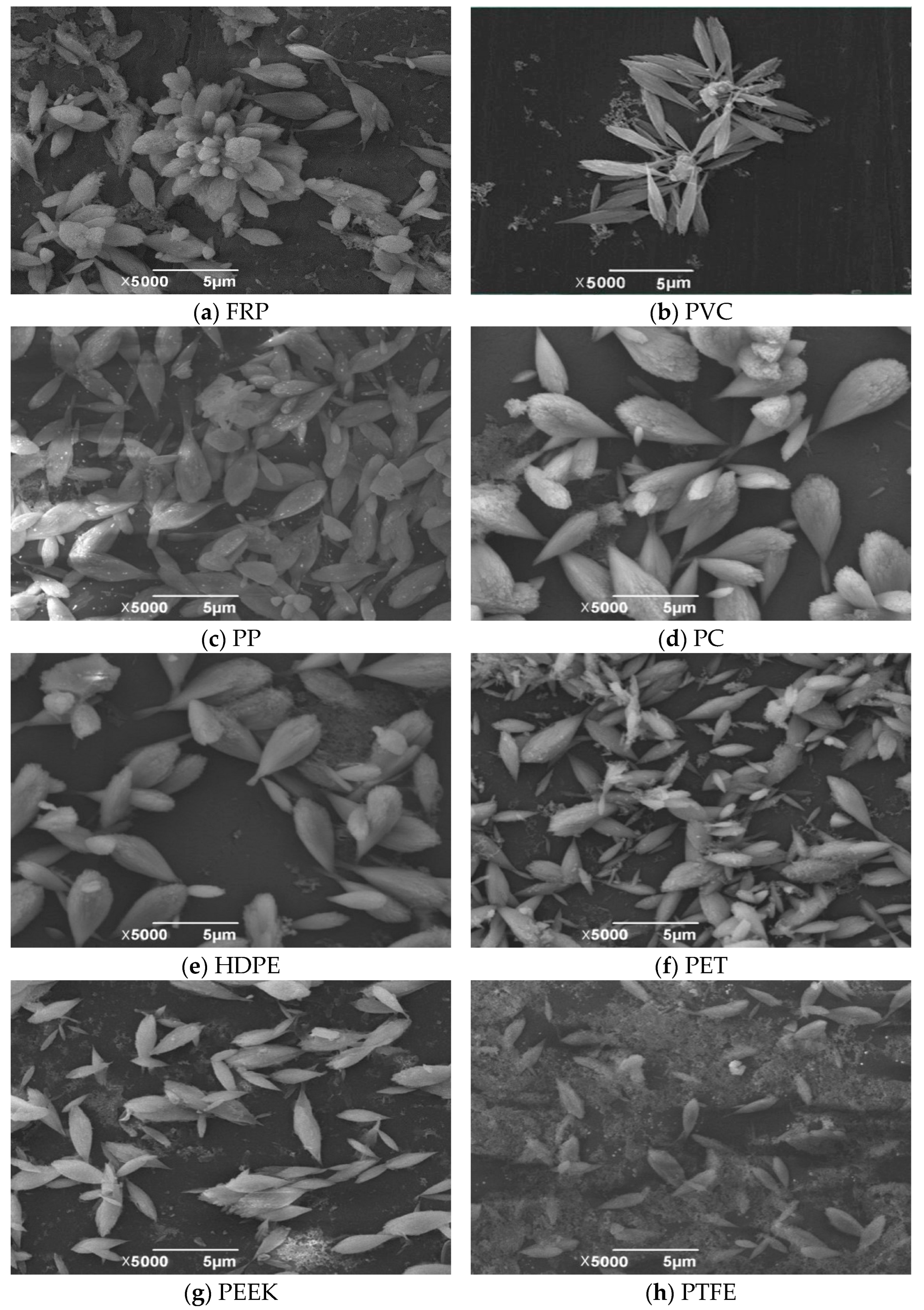 Processes 11 02232 g008