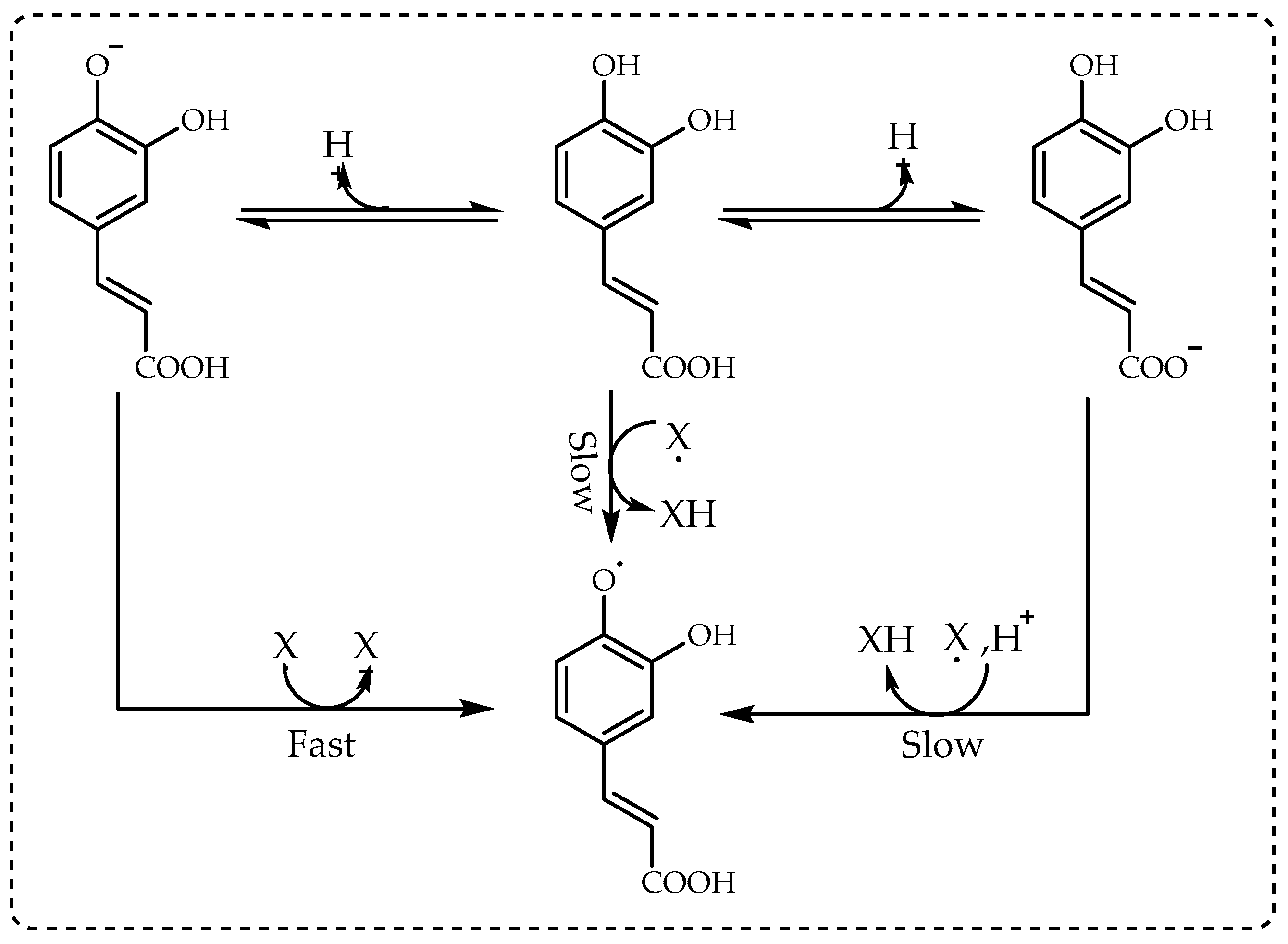 Processes Free FullText DPPH Radical Scavenging Assay