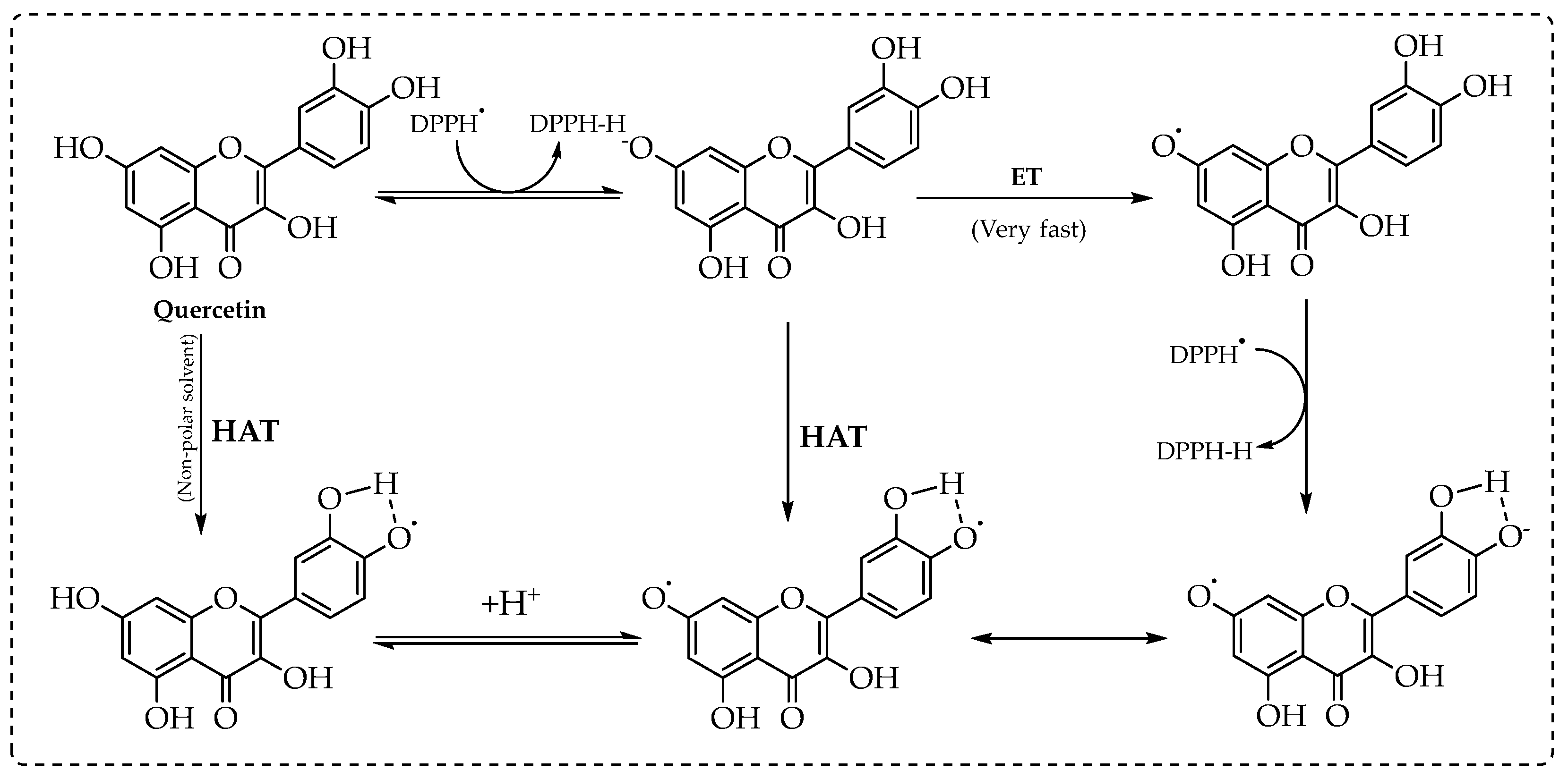 Identification Of The DPPH Radical Scavenging Reaction 49% OFF Identification Of The DPPH Radical Scavenging Reaction 49% OFF