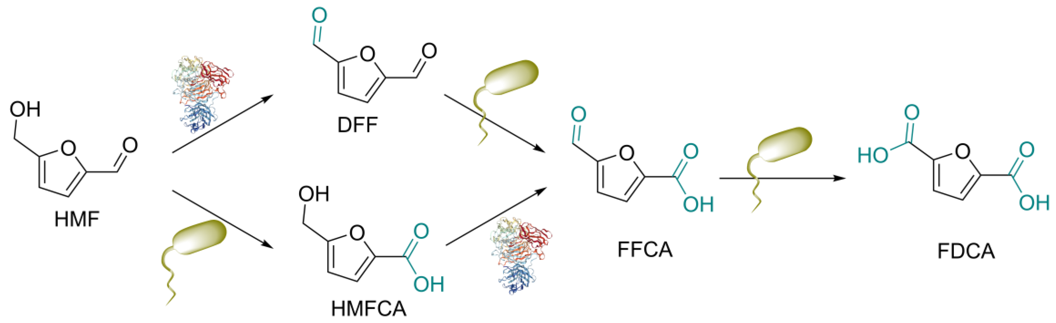 Processes 11 02261 sch001 Processes 11 02261 sch001