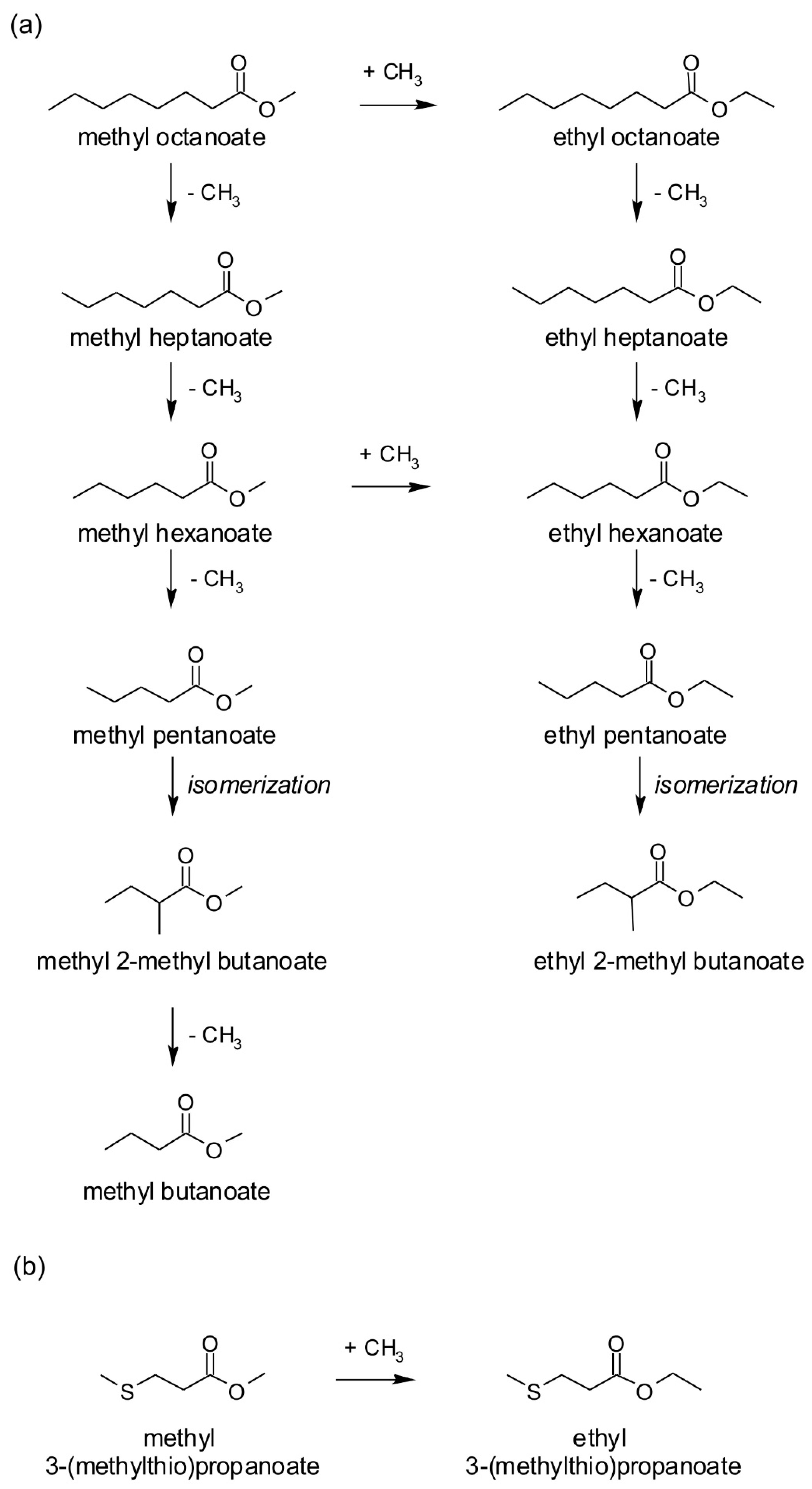 Processes 11 02303 g001
