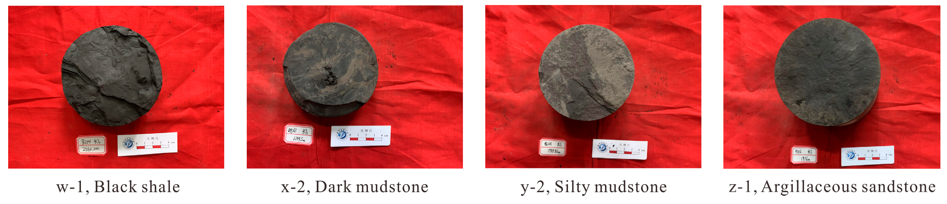 Processes 11 02314 g002