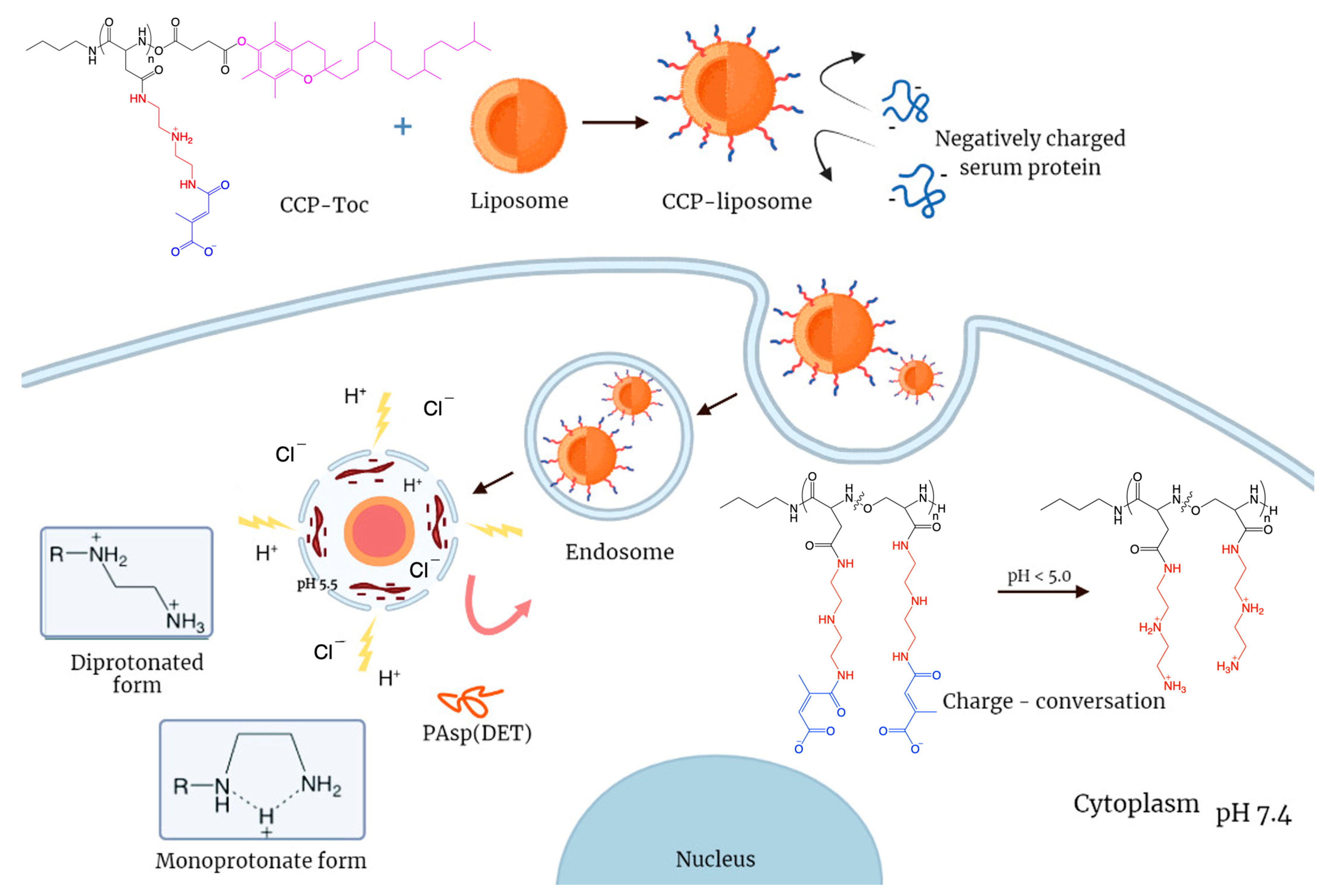 Processes 11 02344 g001 Processes 11 02344 g001