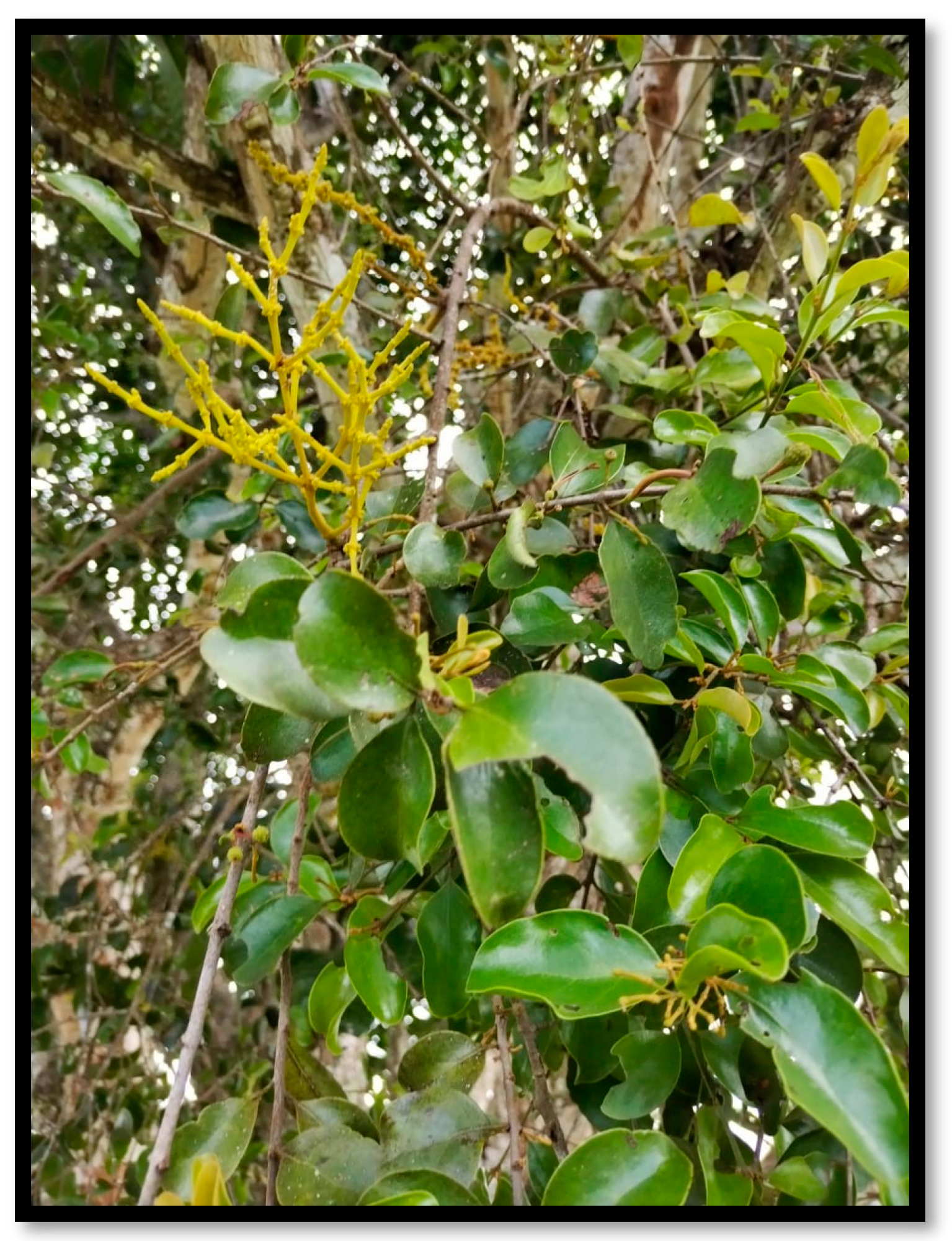 Processes 11 02348 g001