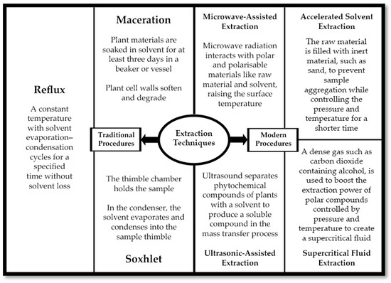 A Review of Dendrophthoe pentandra (Mistletoe): Phytomorphology ...