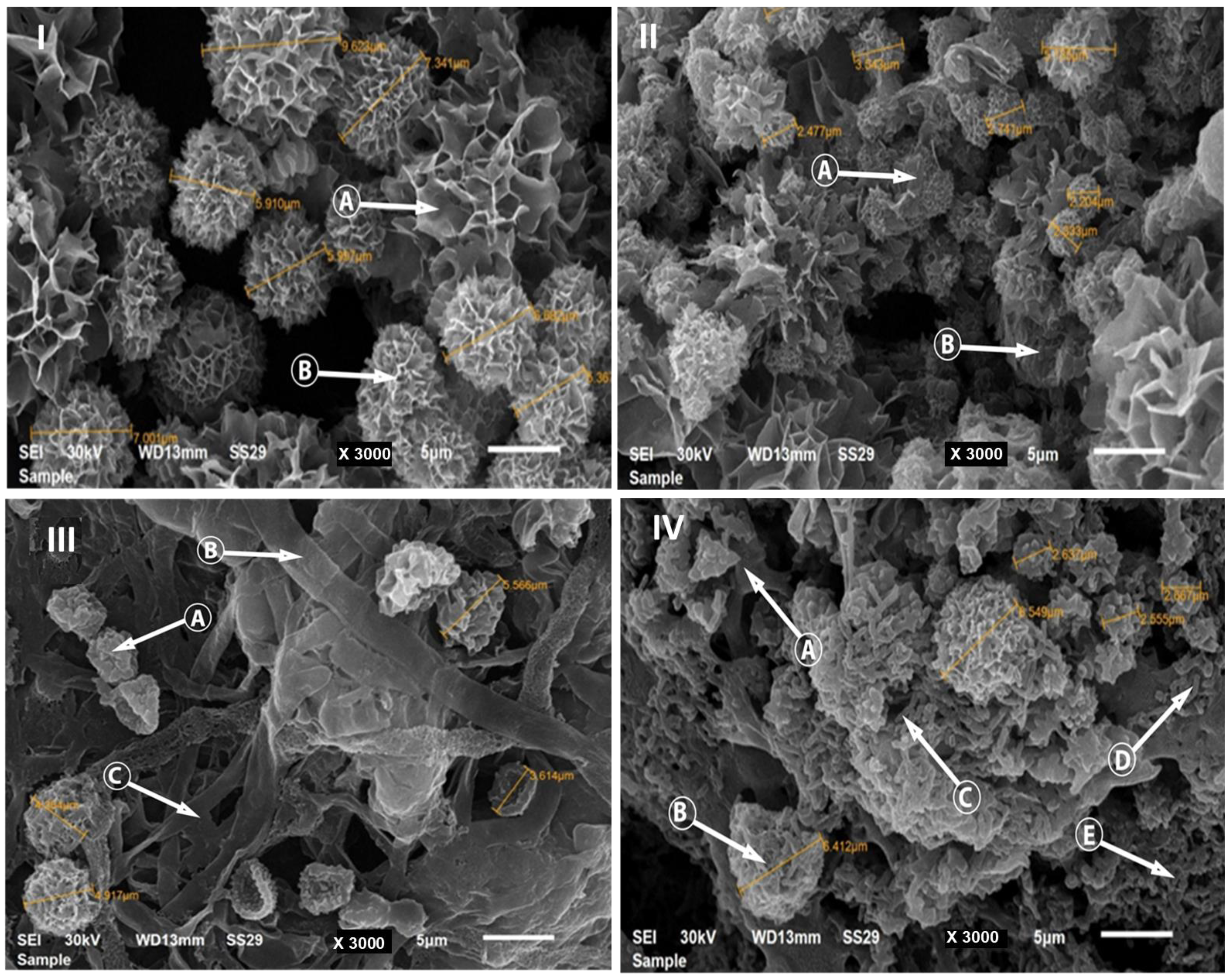 Processes 11 02350 g001 Processes 11 02350 g001