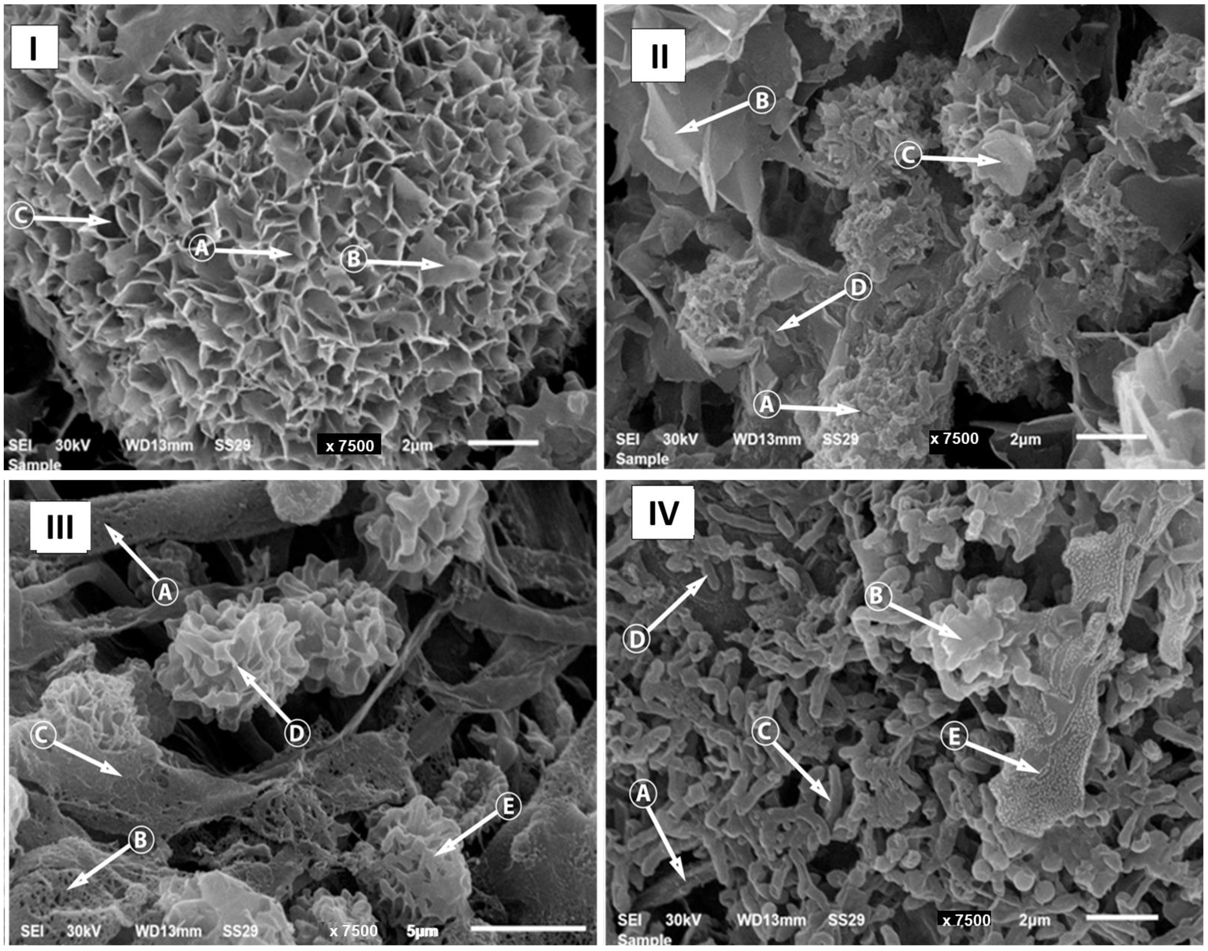 Processes 11 02350 g002 Processes 11 02350 g002