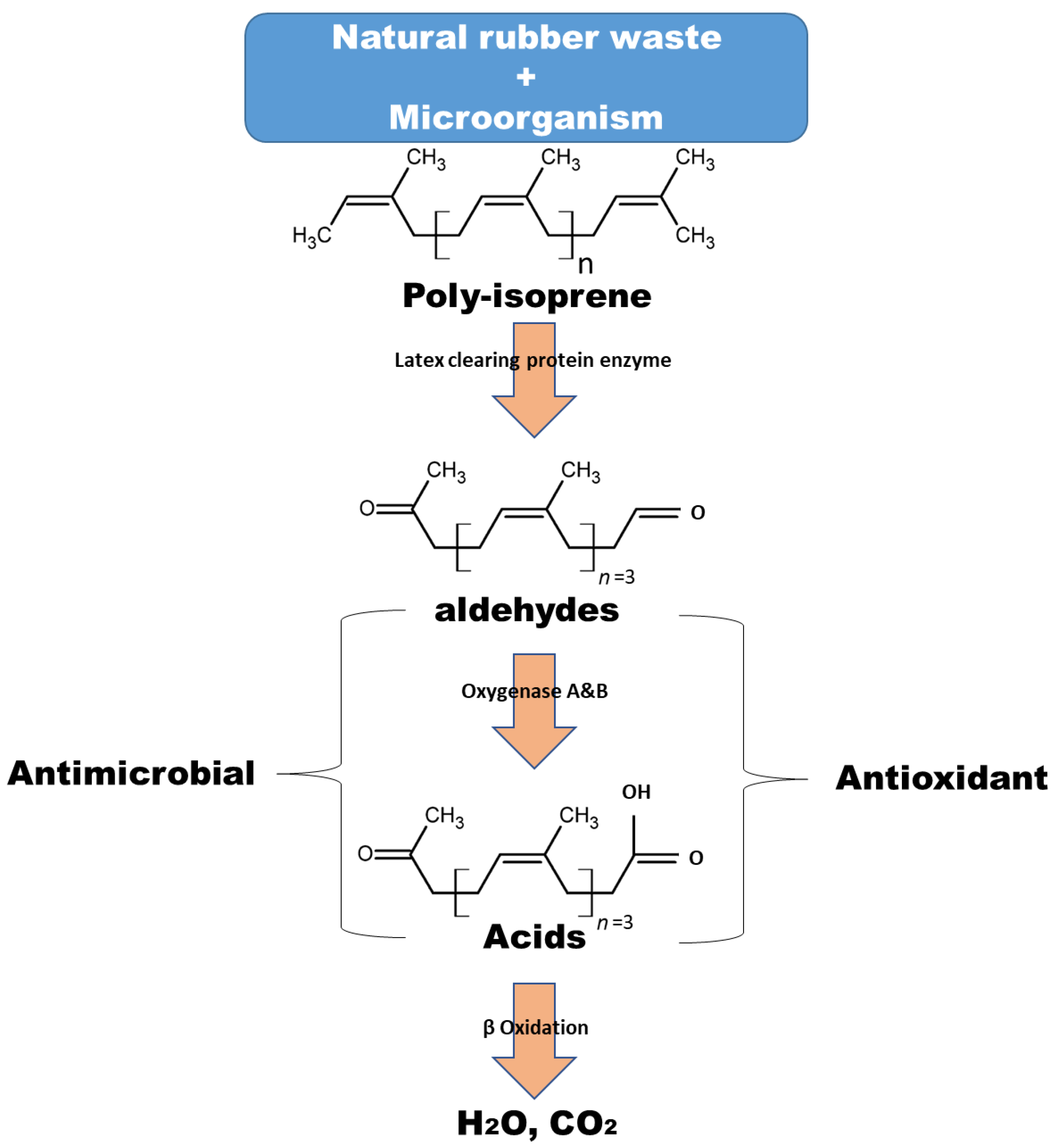 Processes 11 02350 g004 Processes 11 02350 g004