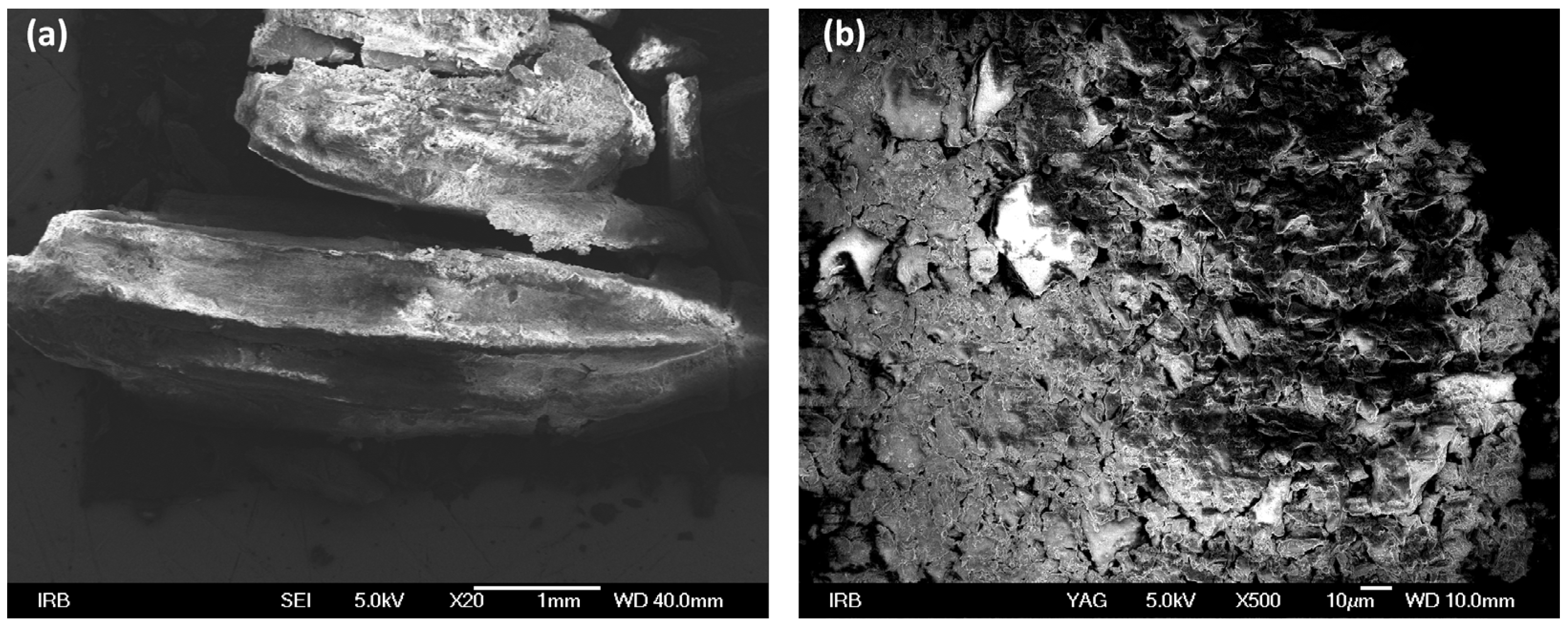 Processes Free FullText Hydrodistillation and Steam Distillation
