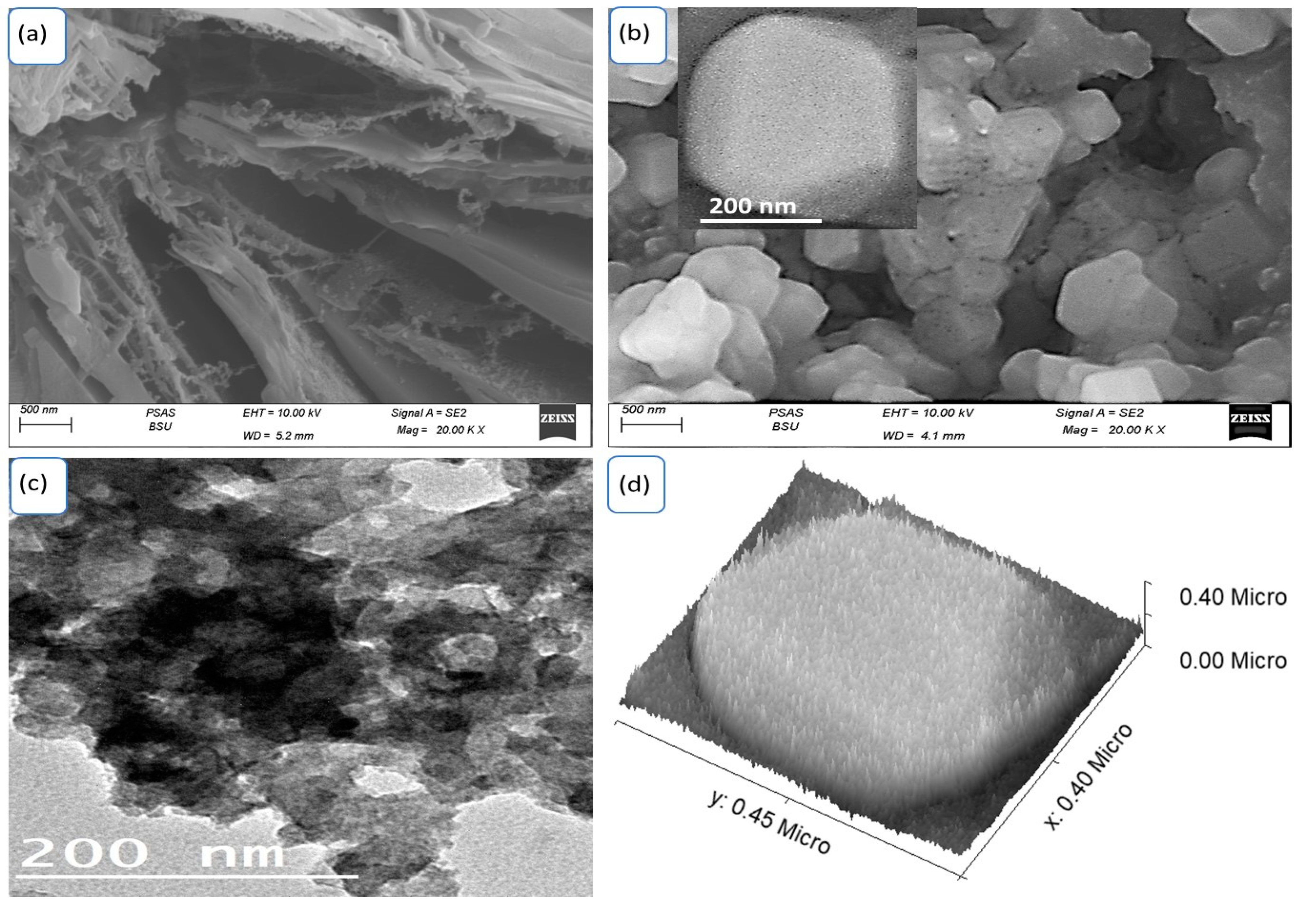 Processes 11 02375 g003 Processes 11 02375 g003