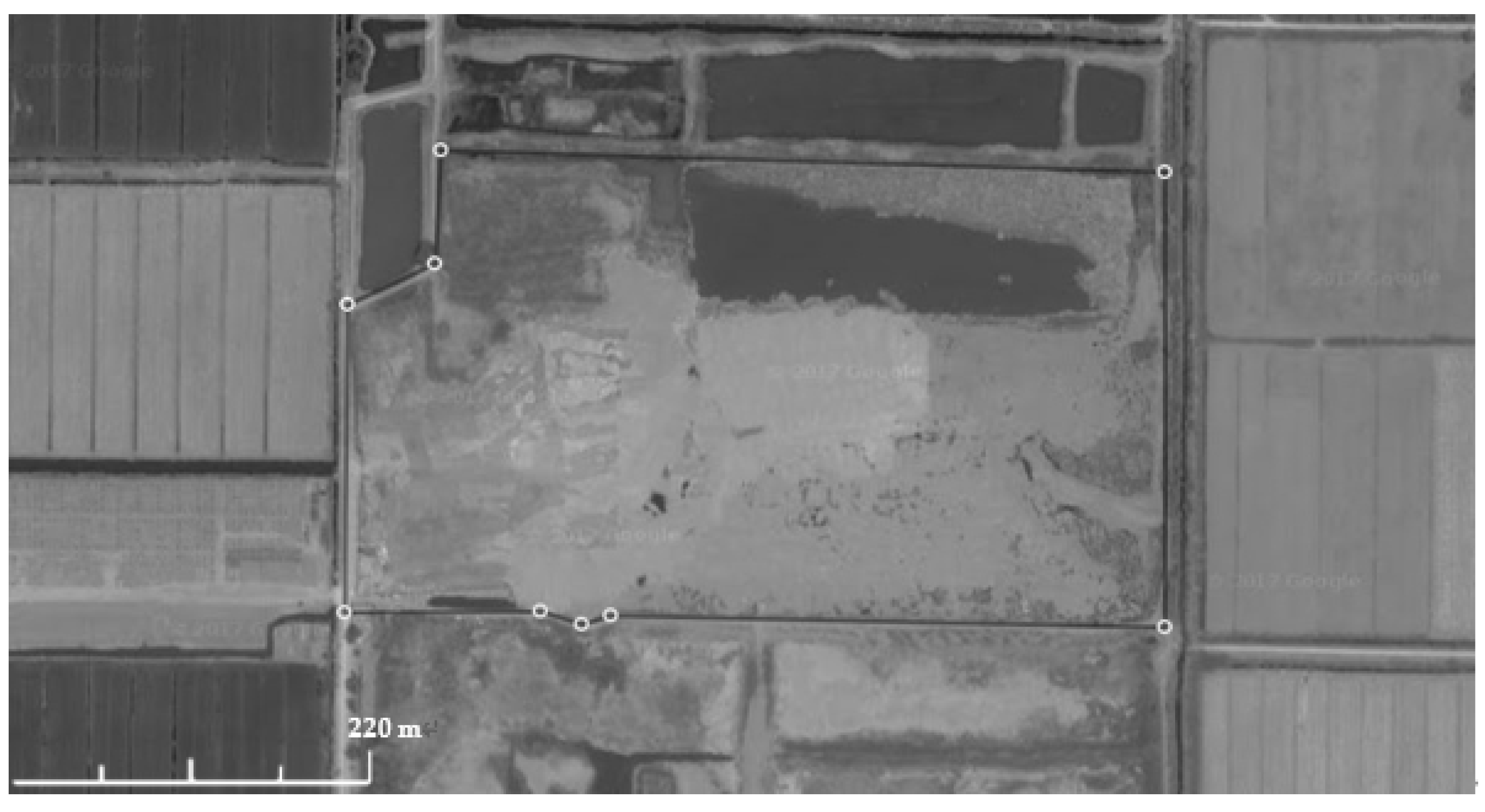 Processes 11 02382 g001 550