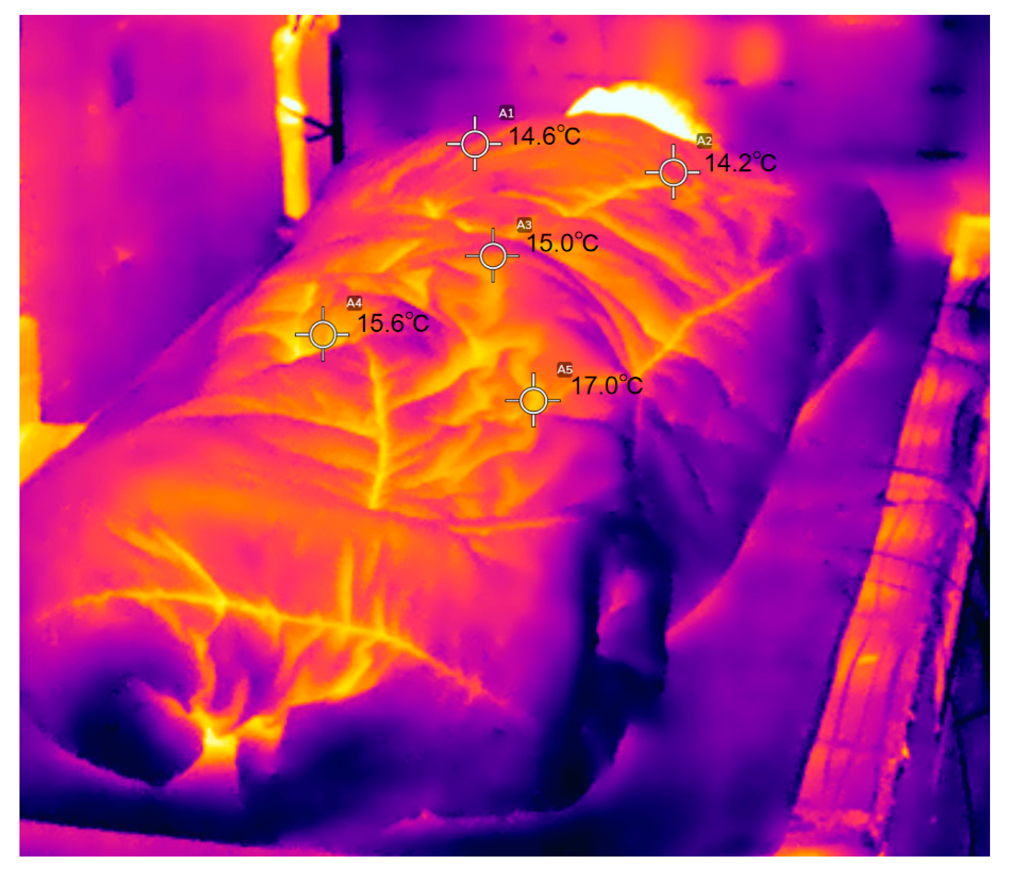 Processes 11 02391 g020 Processes 11 02391 g020