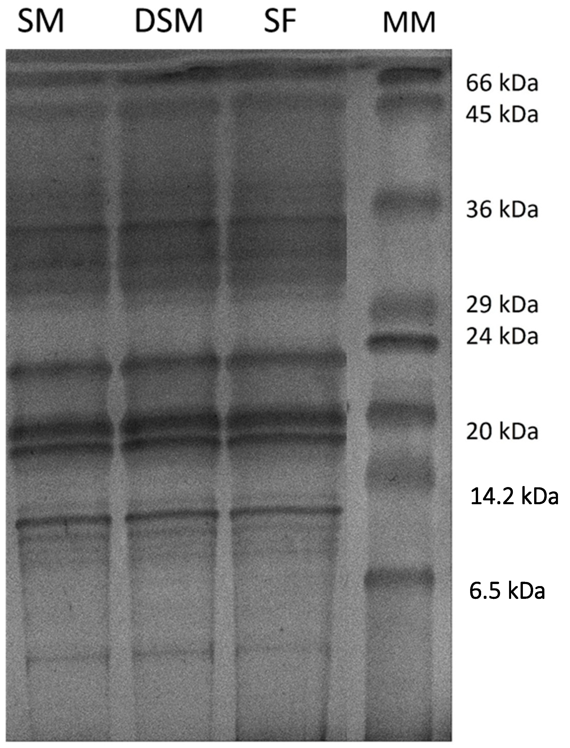 Processes 11 02407 g002 Processes 11 02407 g002