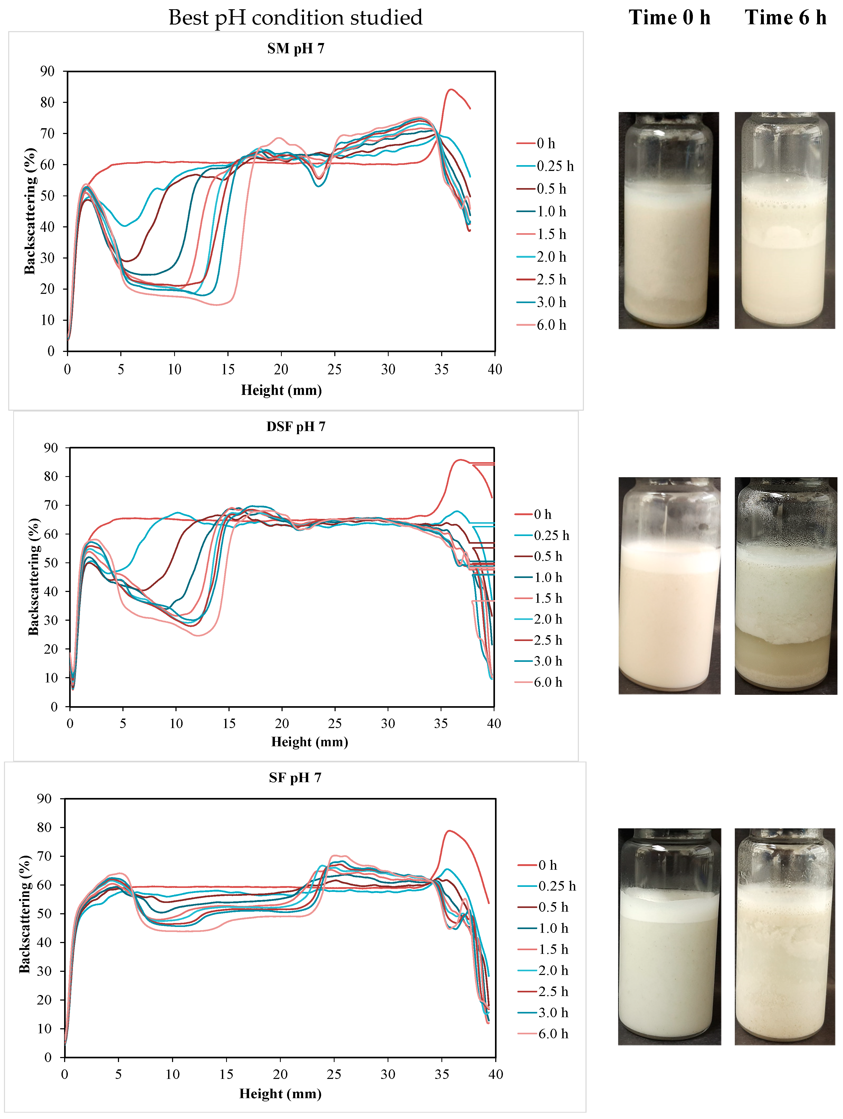 Processes 11 02407 g005 Processes 11 02407 g005