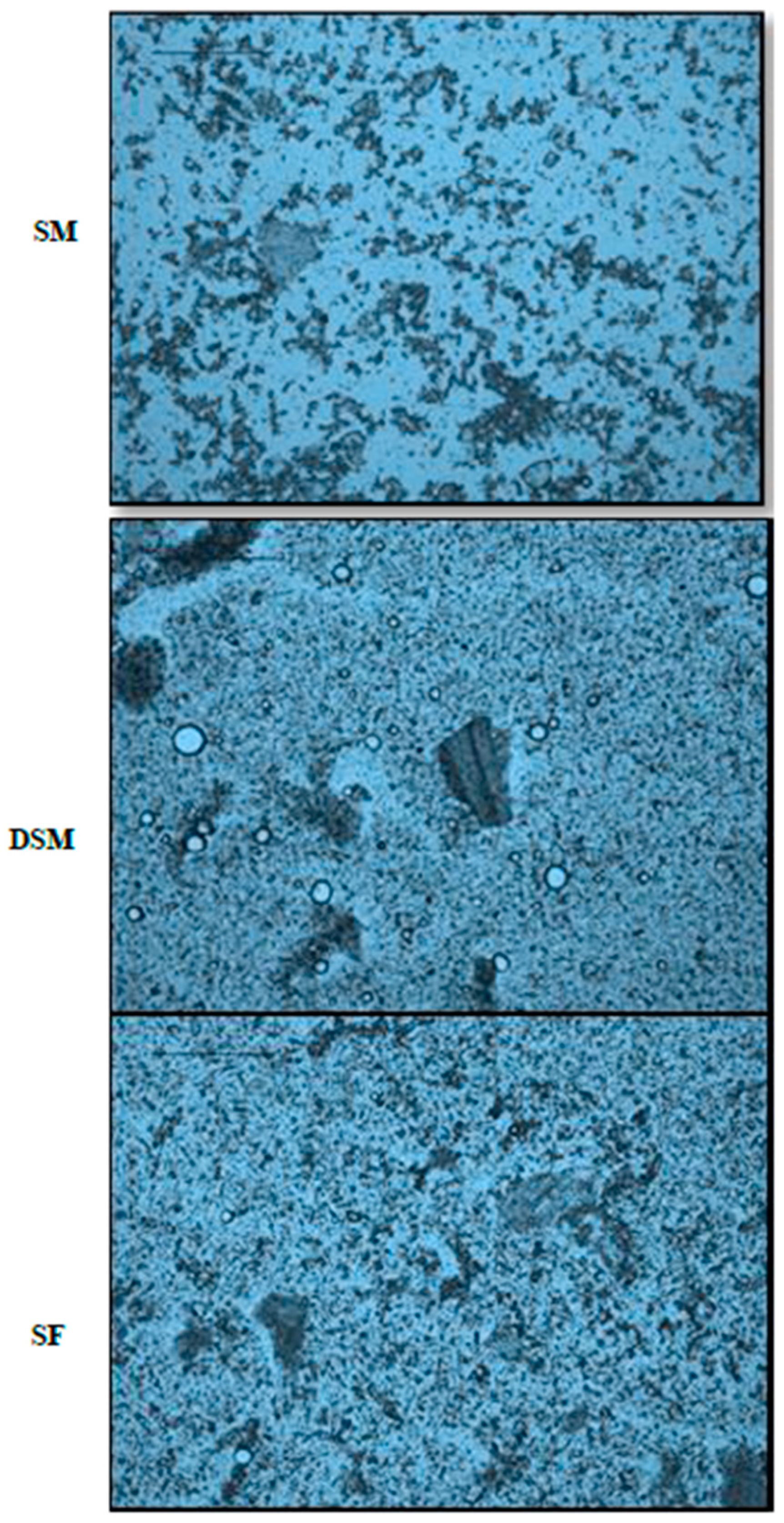 Processes 11 02407 g006 Processes 11 02407 g006