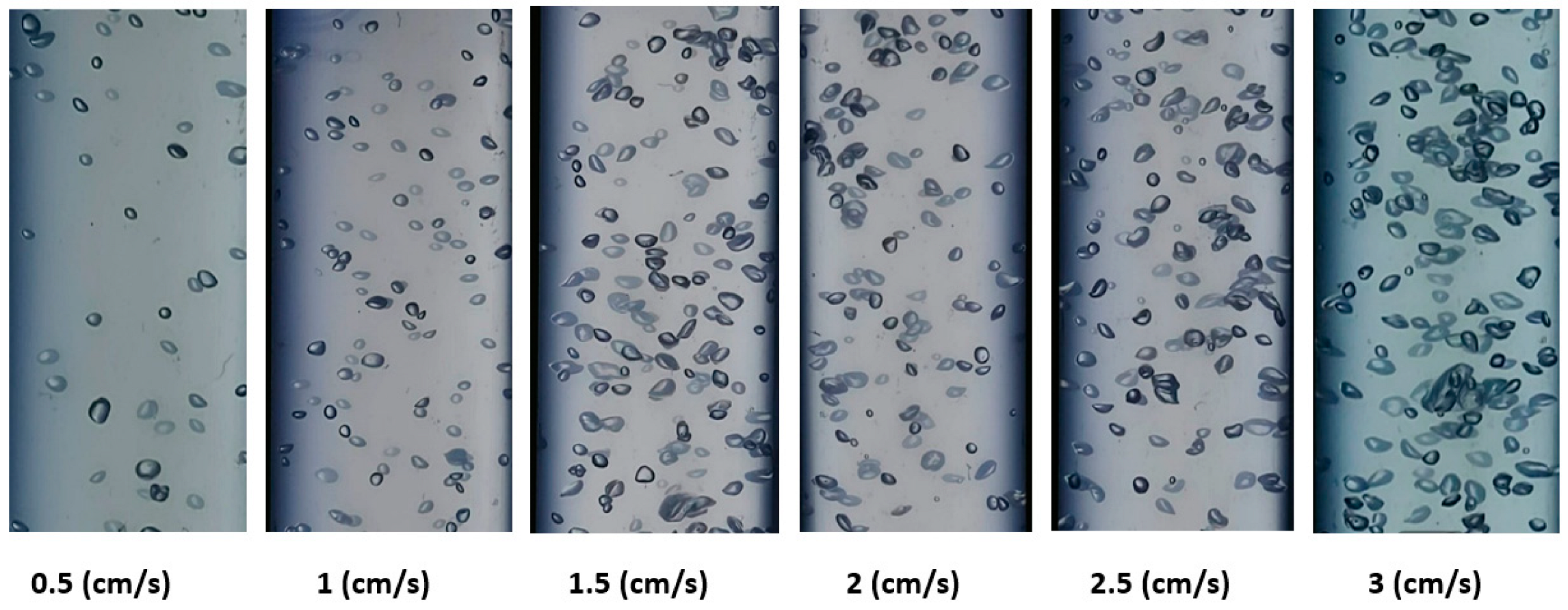 Processes 11 02416 g006