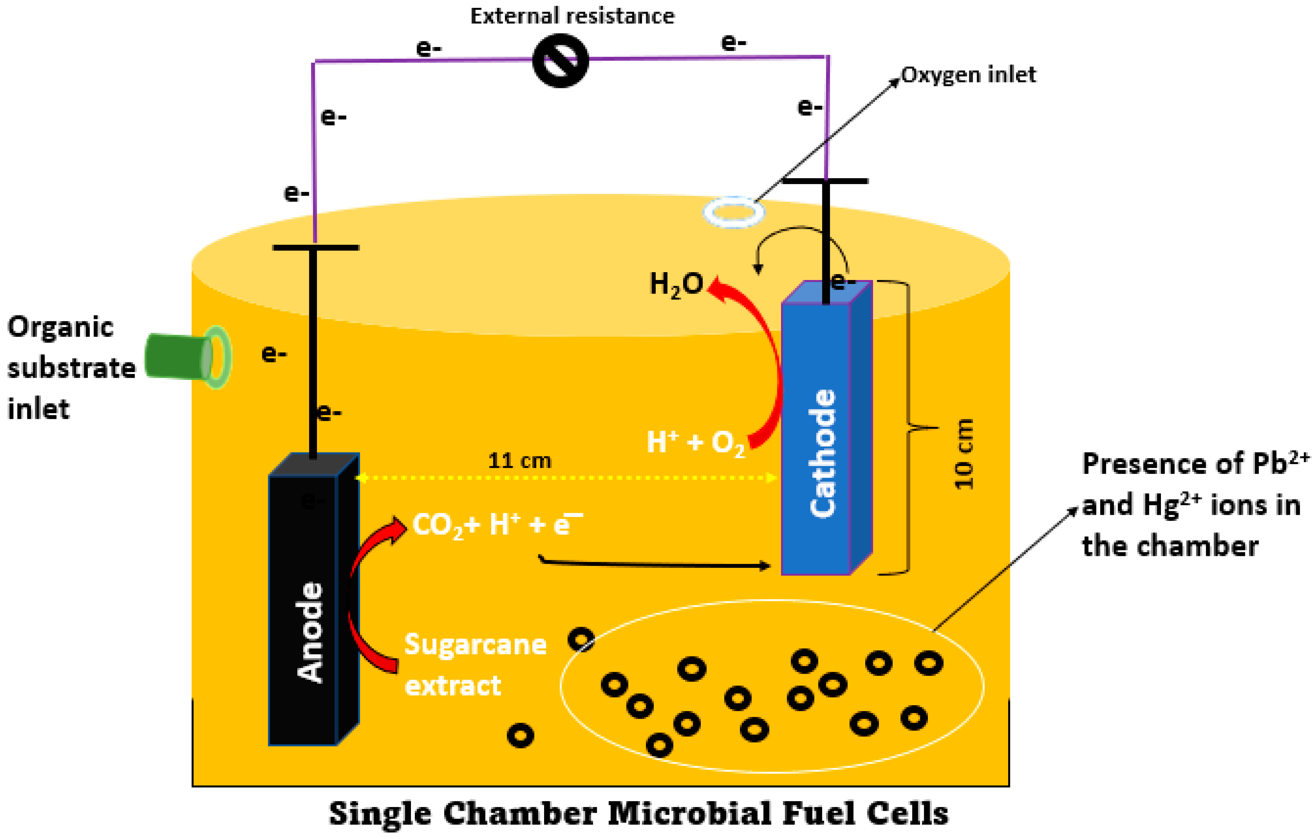 Processes 11 02434 g001