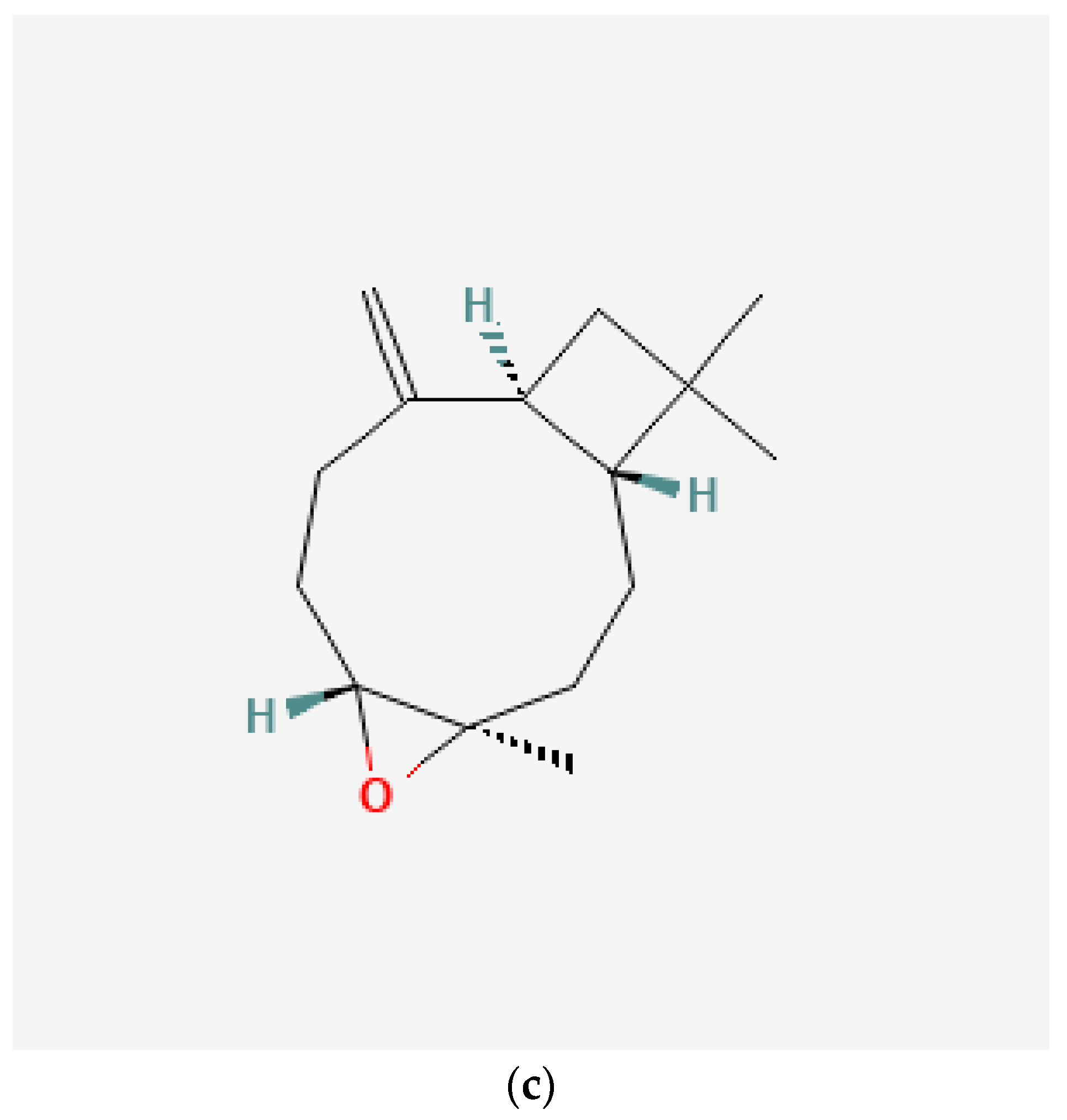 Processes 11 02453 g001b