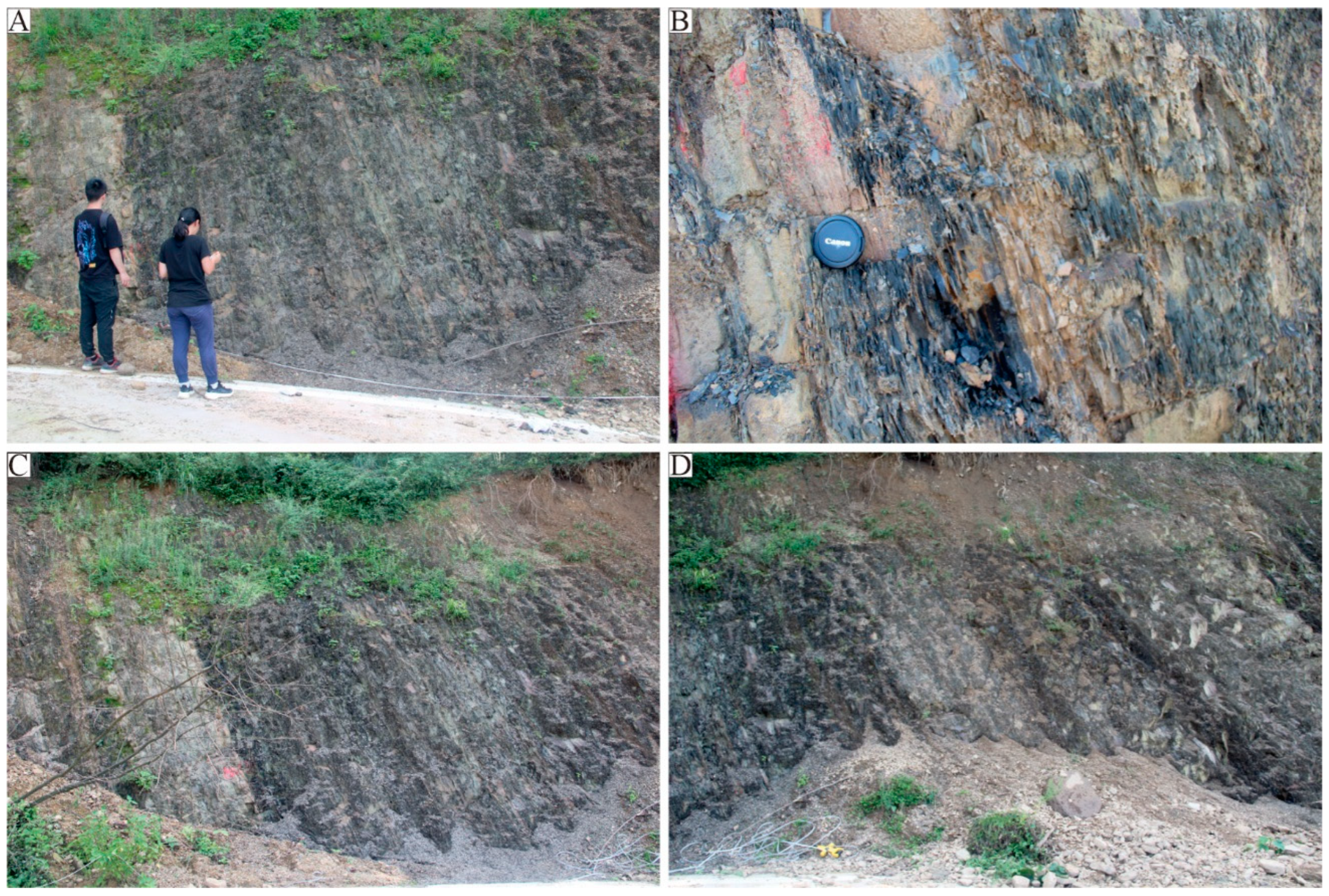 Processes 11 02463 g007