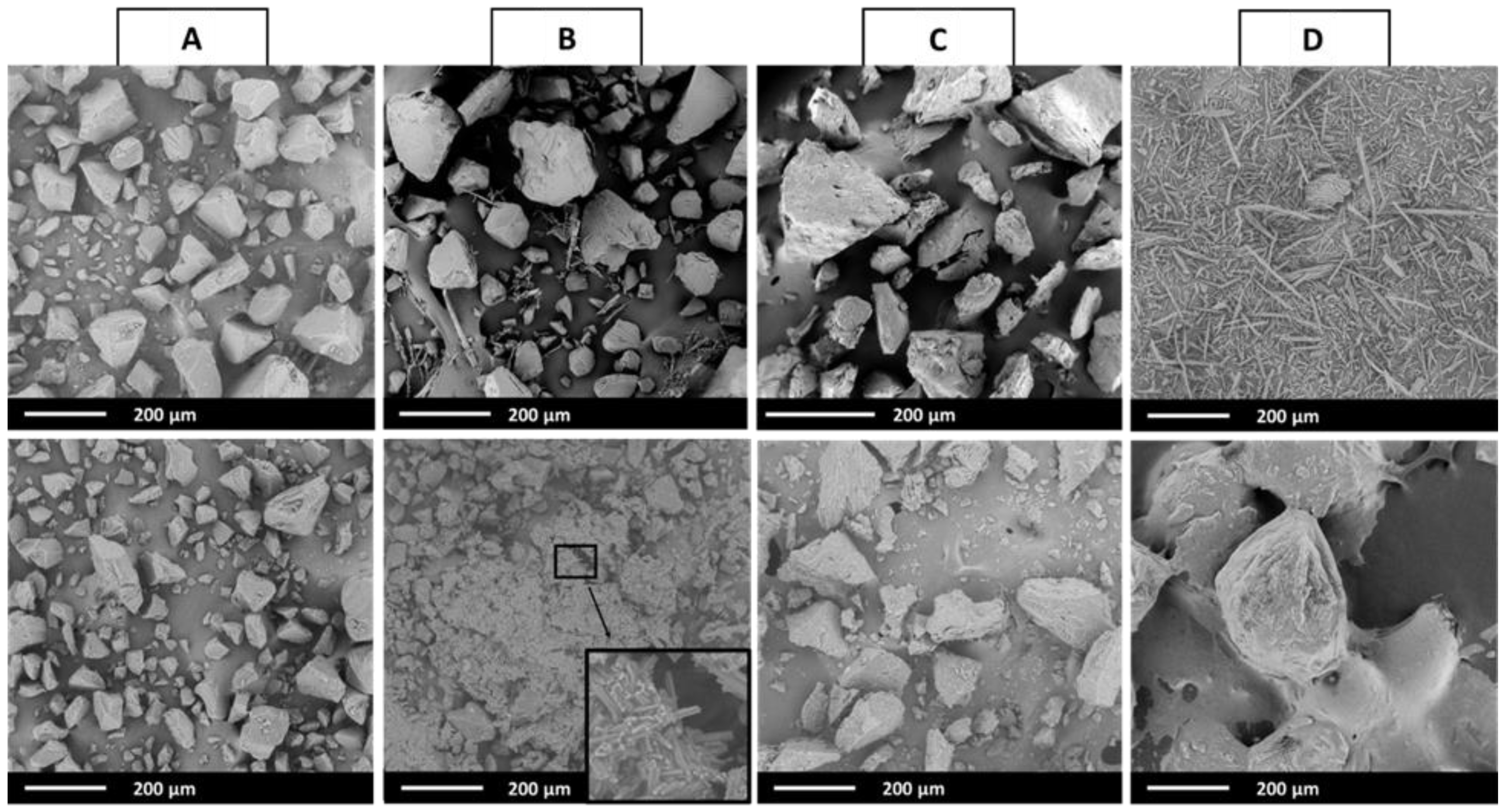 Processes 11 02479 g011