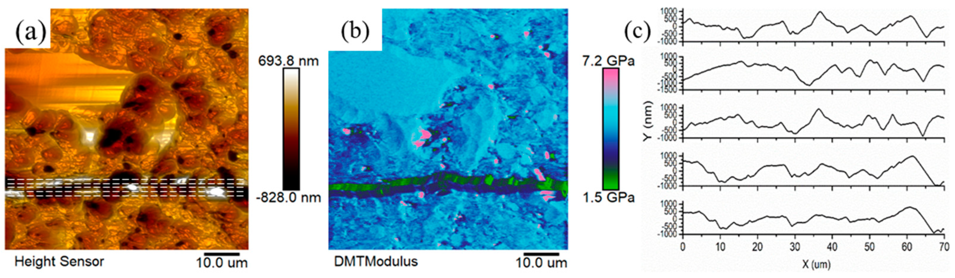 Processes 11 02498 g005