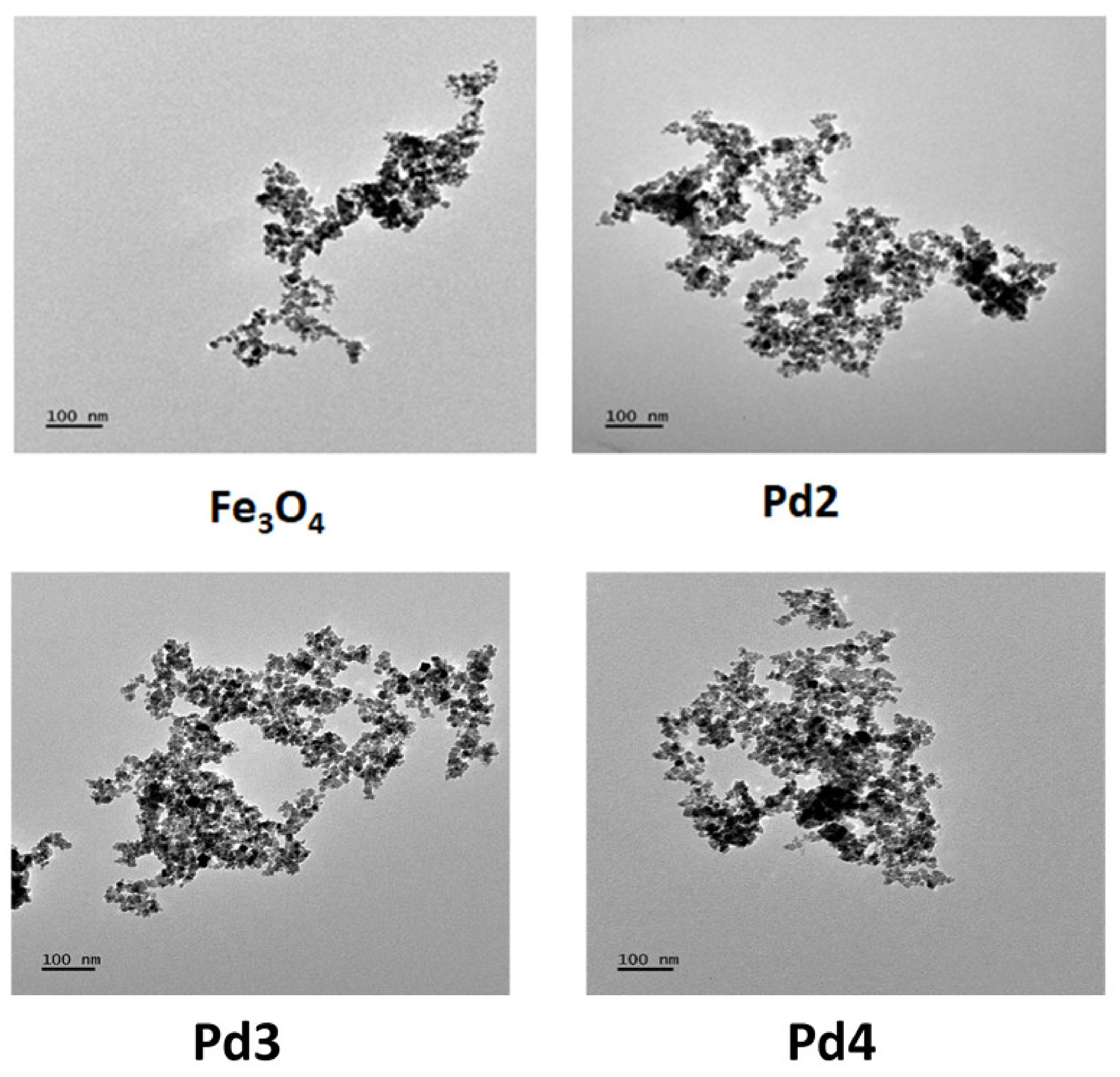Processes 11 02516 g002