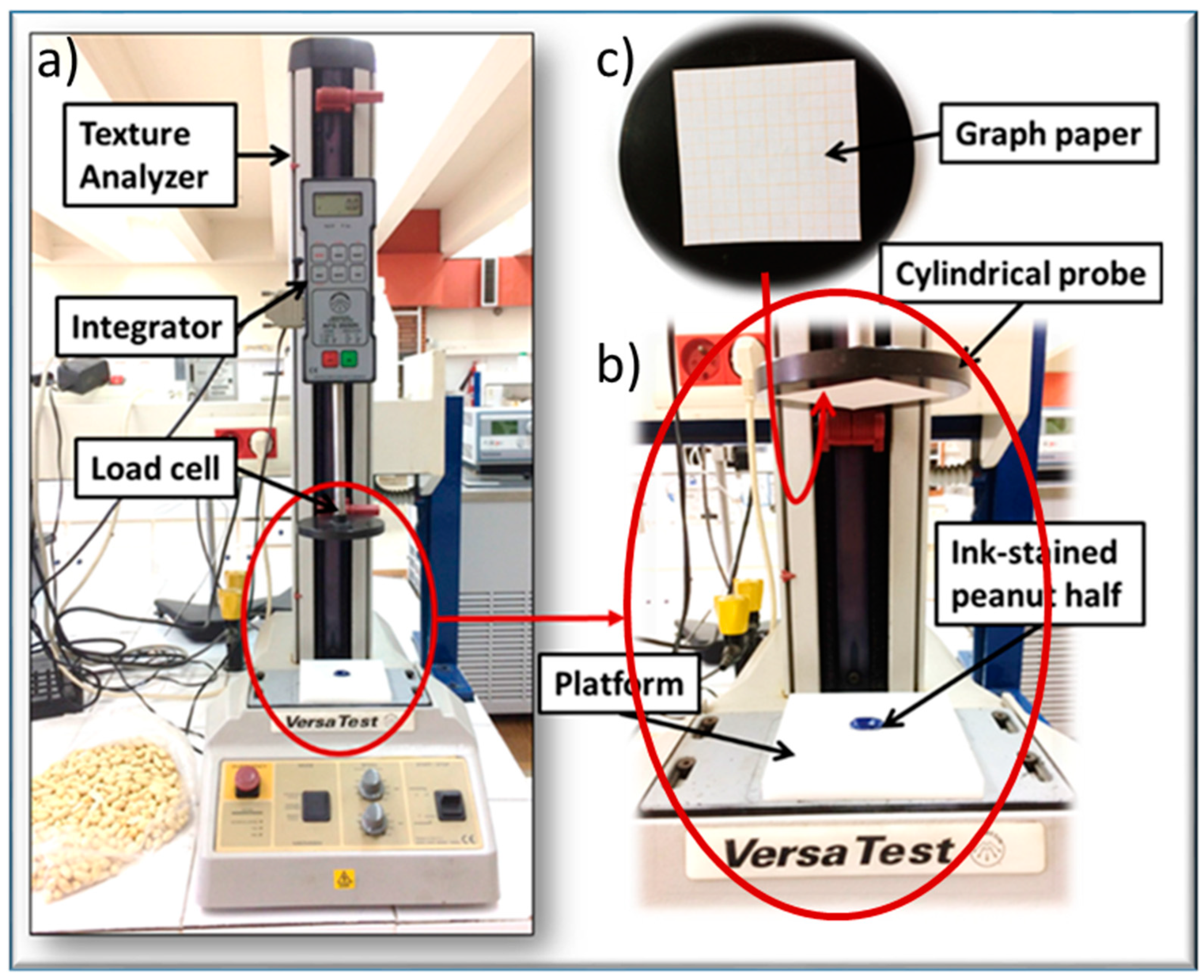 Processes 11 02532 g001