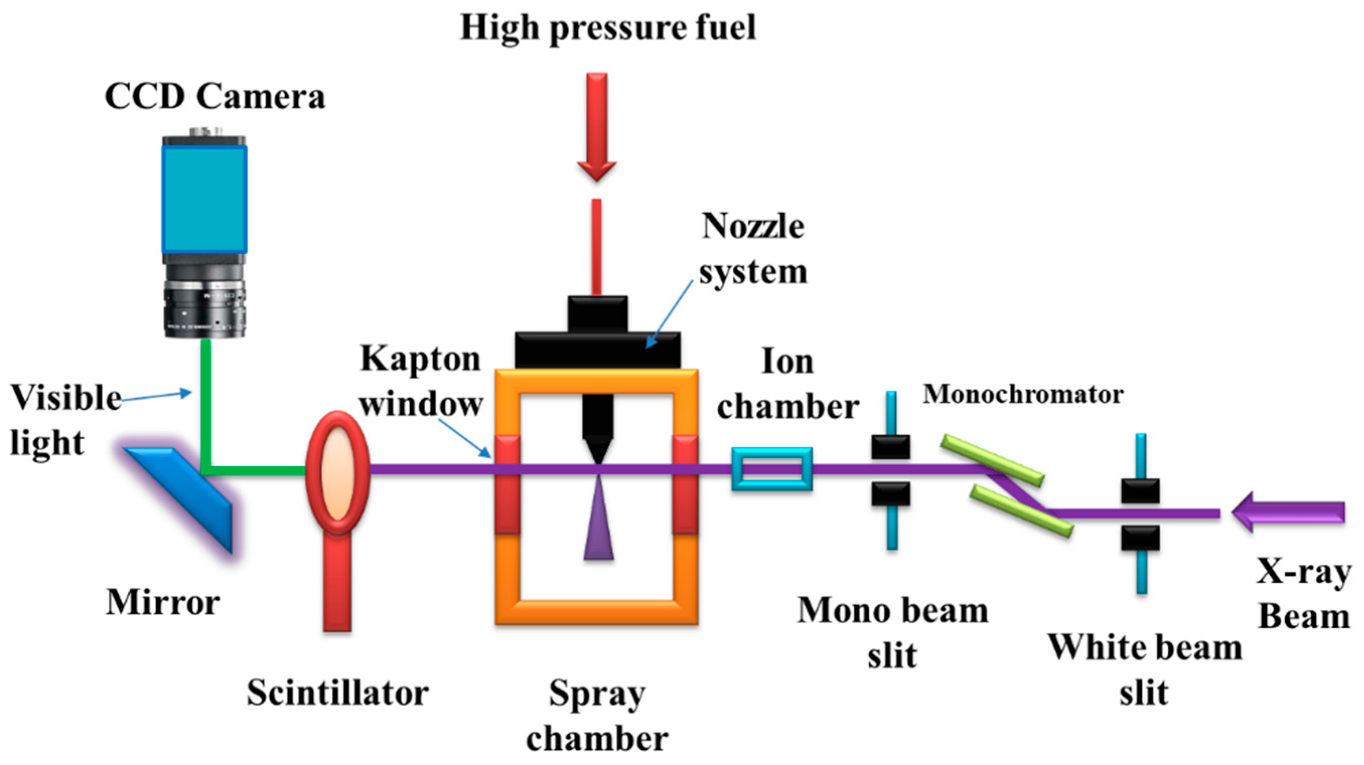 Homogeneous Field Measurement and Simulation Study of