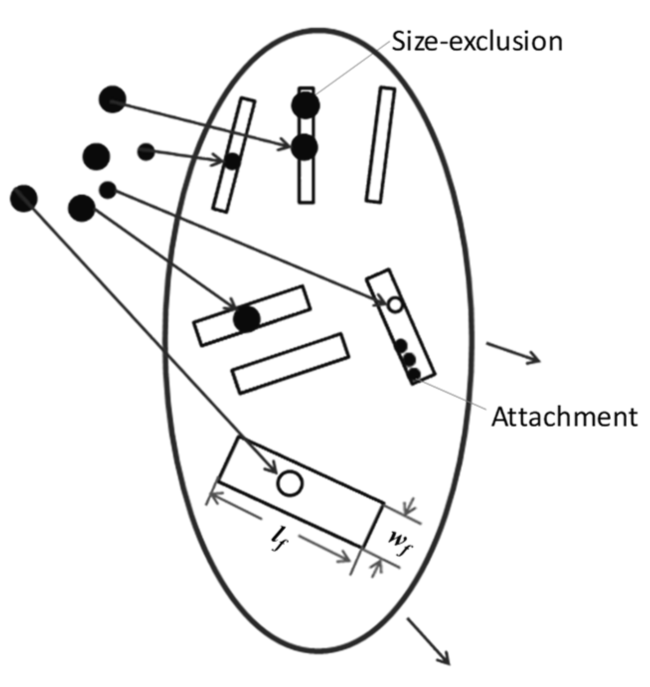 Processes 11 02545 g003